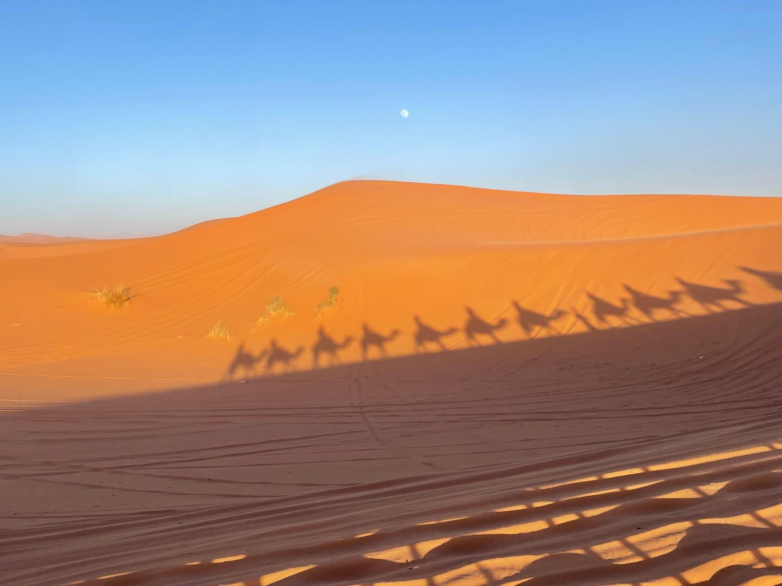 3-Day Sahara Desert Expedition from Marrakesh