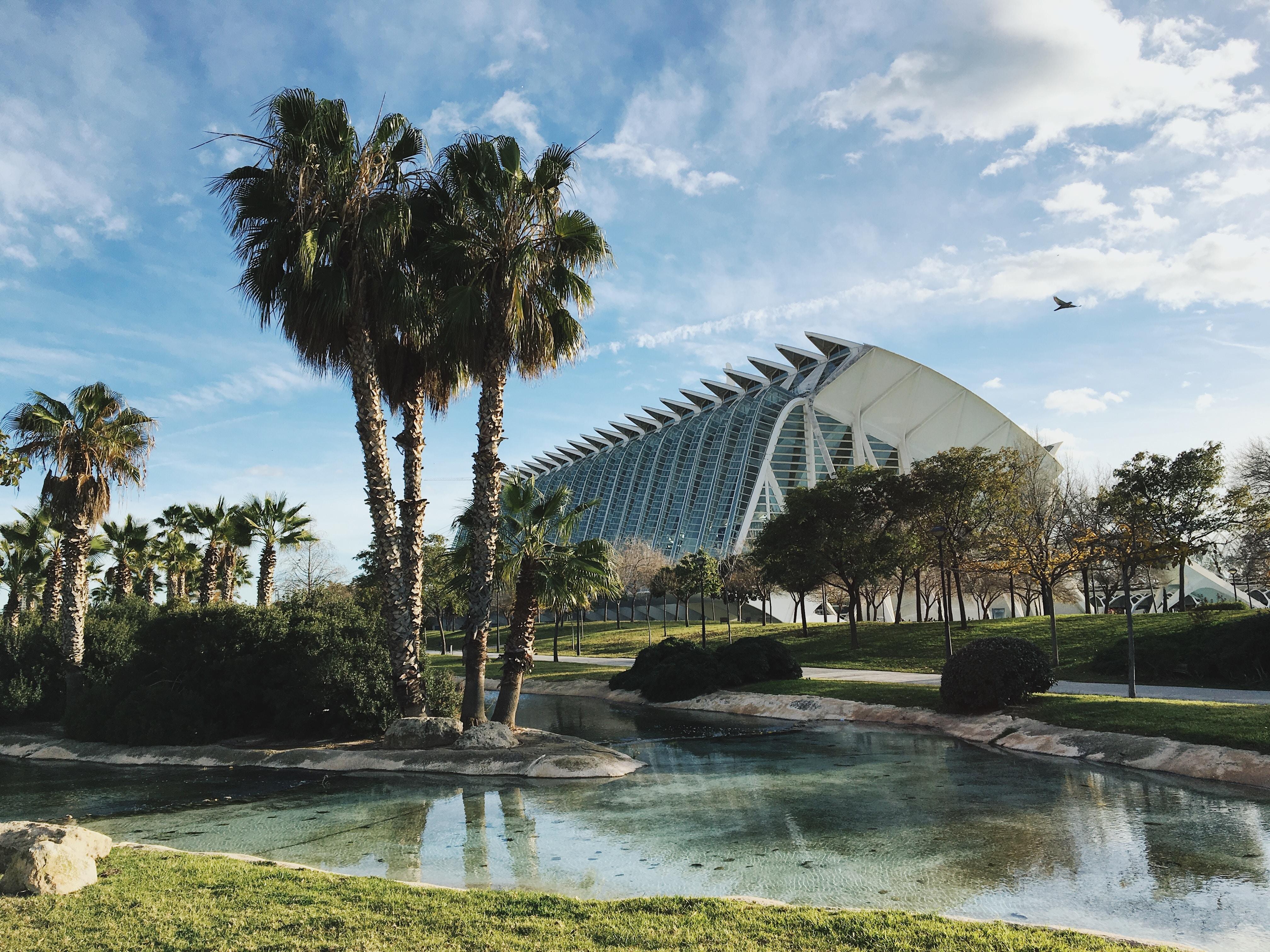 Valencia: Private Photography & Local Culture Tour