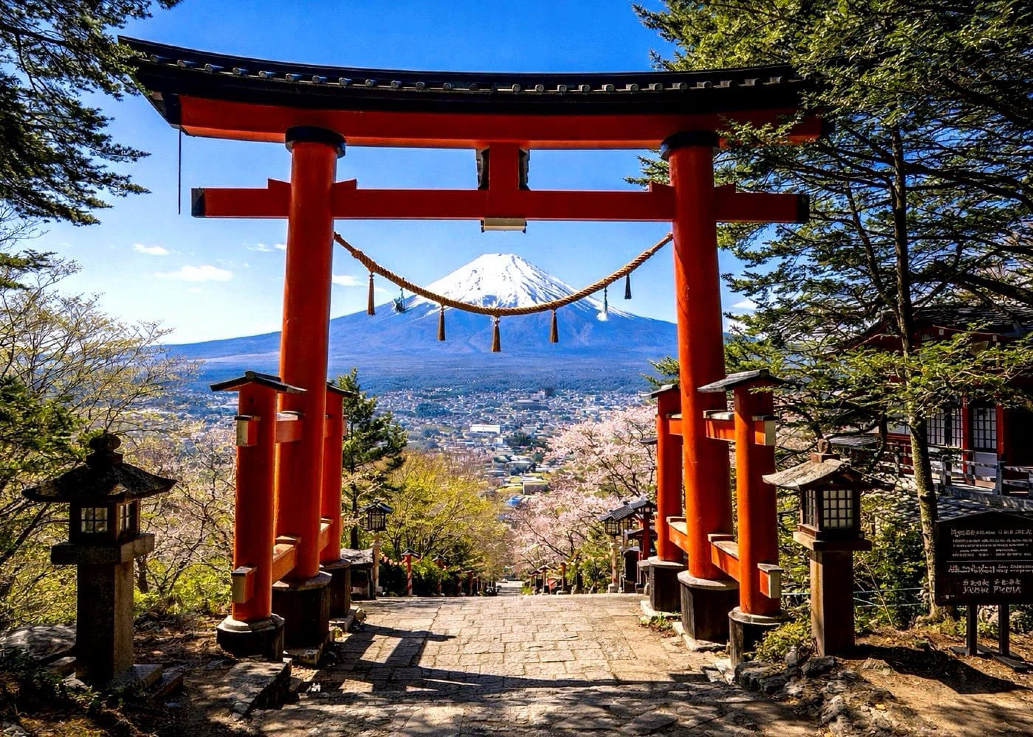 Mount Fuji Private Day Tour from Tokyo with English-Speaking Driver