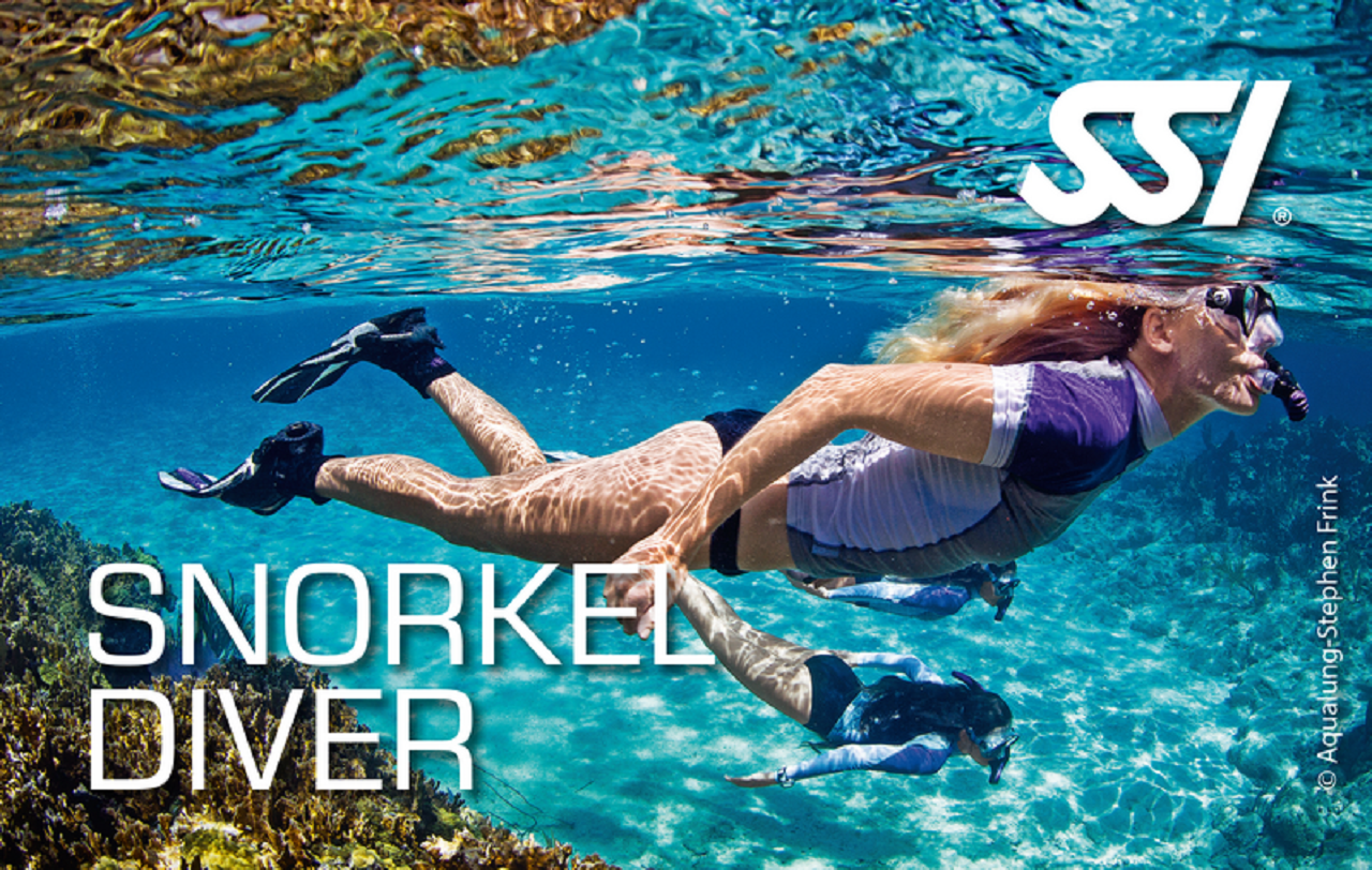 Zenobia Wreck Snorkeling Adventure with Mini Cruise