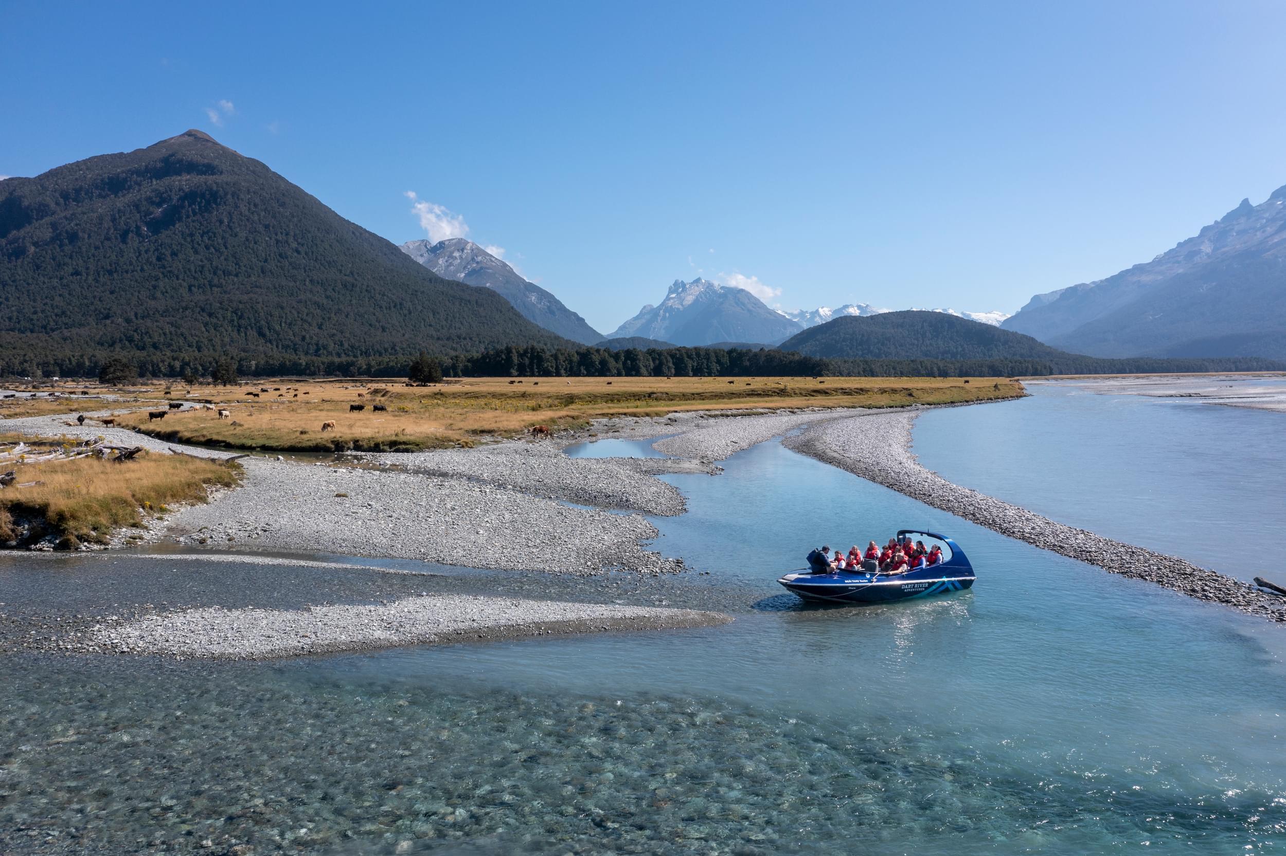 Dart River Wilderness Jet Boat Adventure from Queenstown