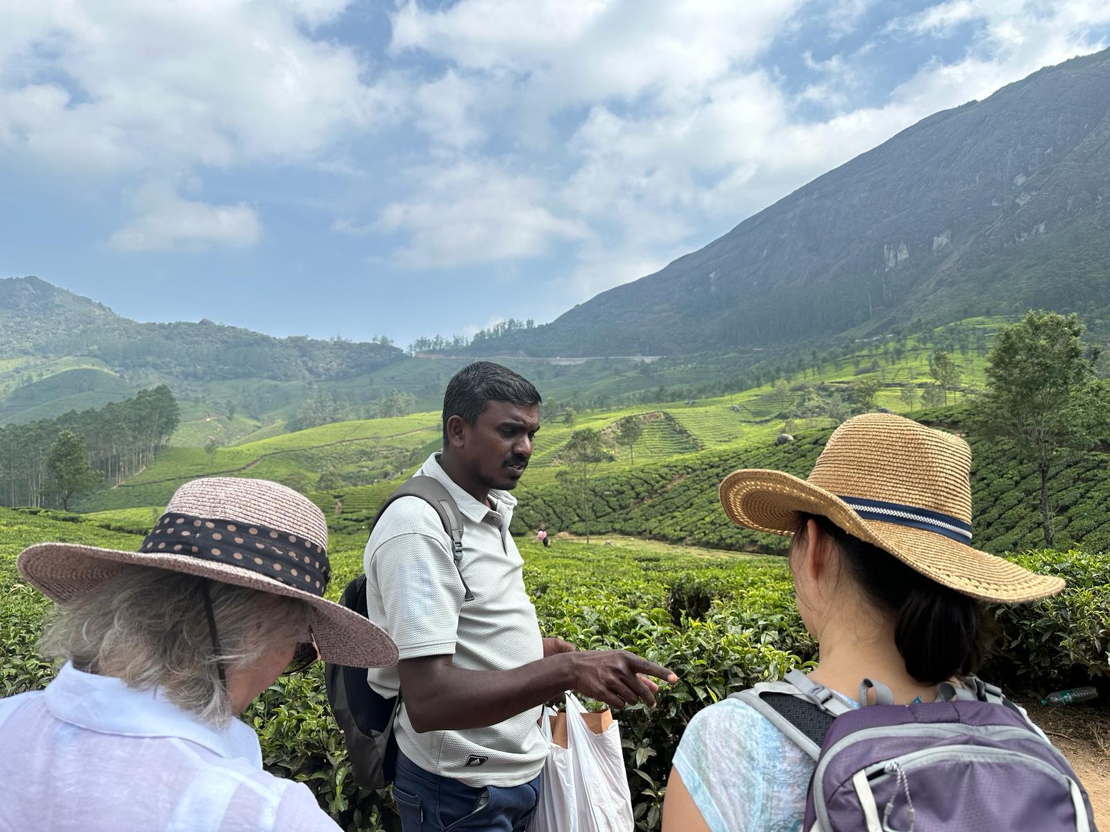 Munnar Guided Tea Plantation, Factory & Tasting Tour
