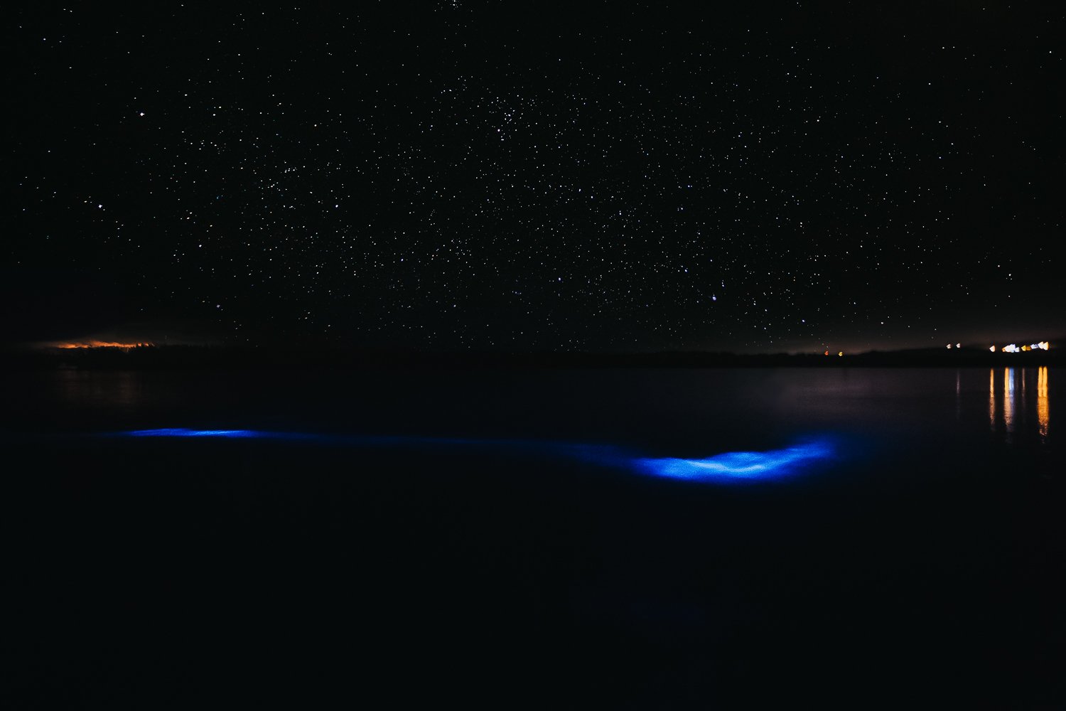 La Parguera Bioluminescent Bay Boat Trip from San Juan