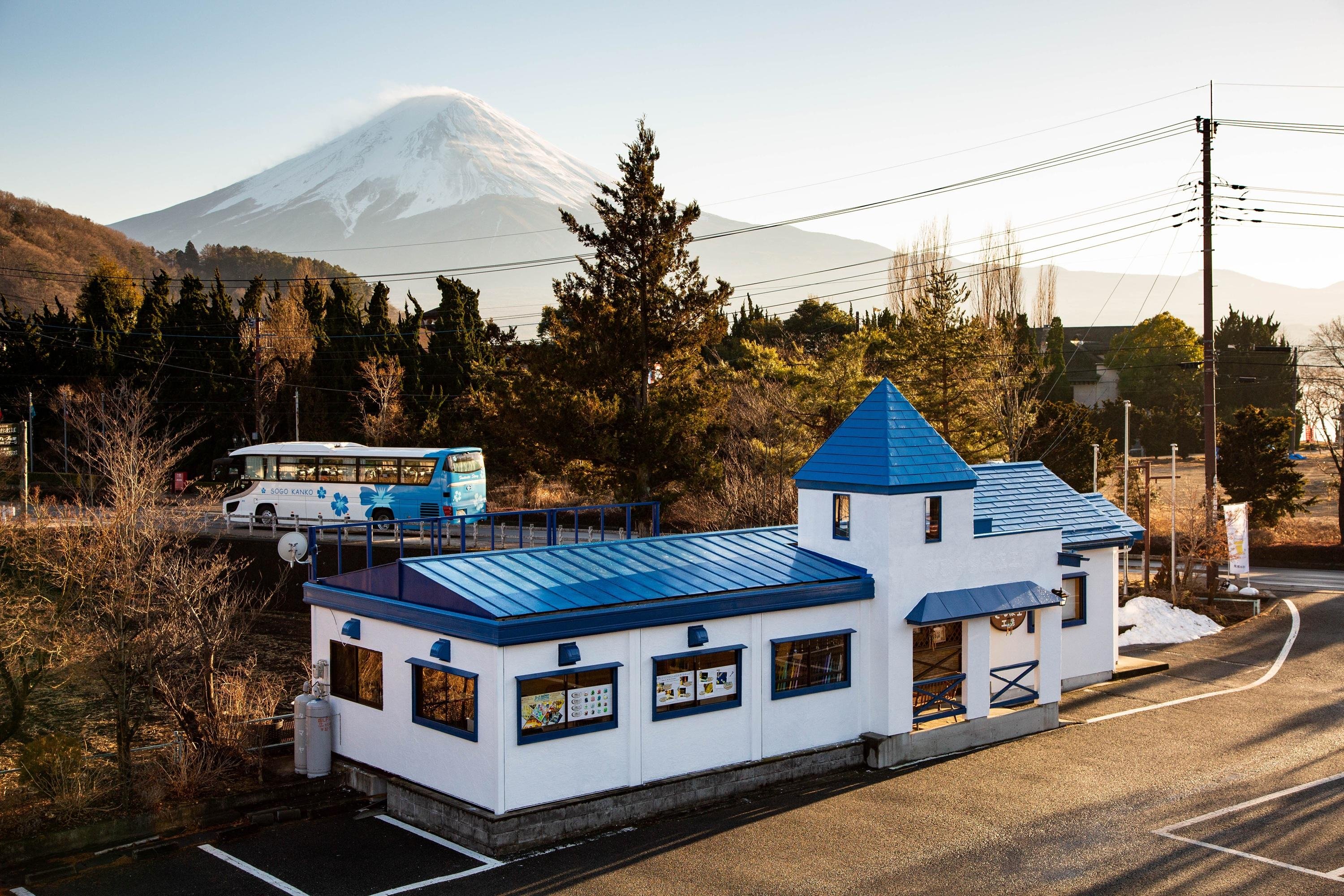 Mount Fuji Day Tour: Chureito Pagoda, Lake Kawaguchi & Oshino Hakkai