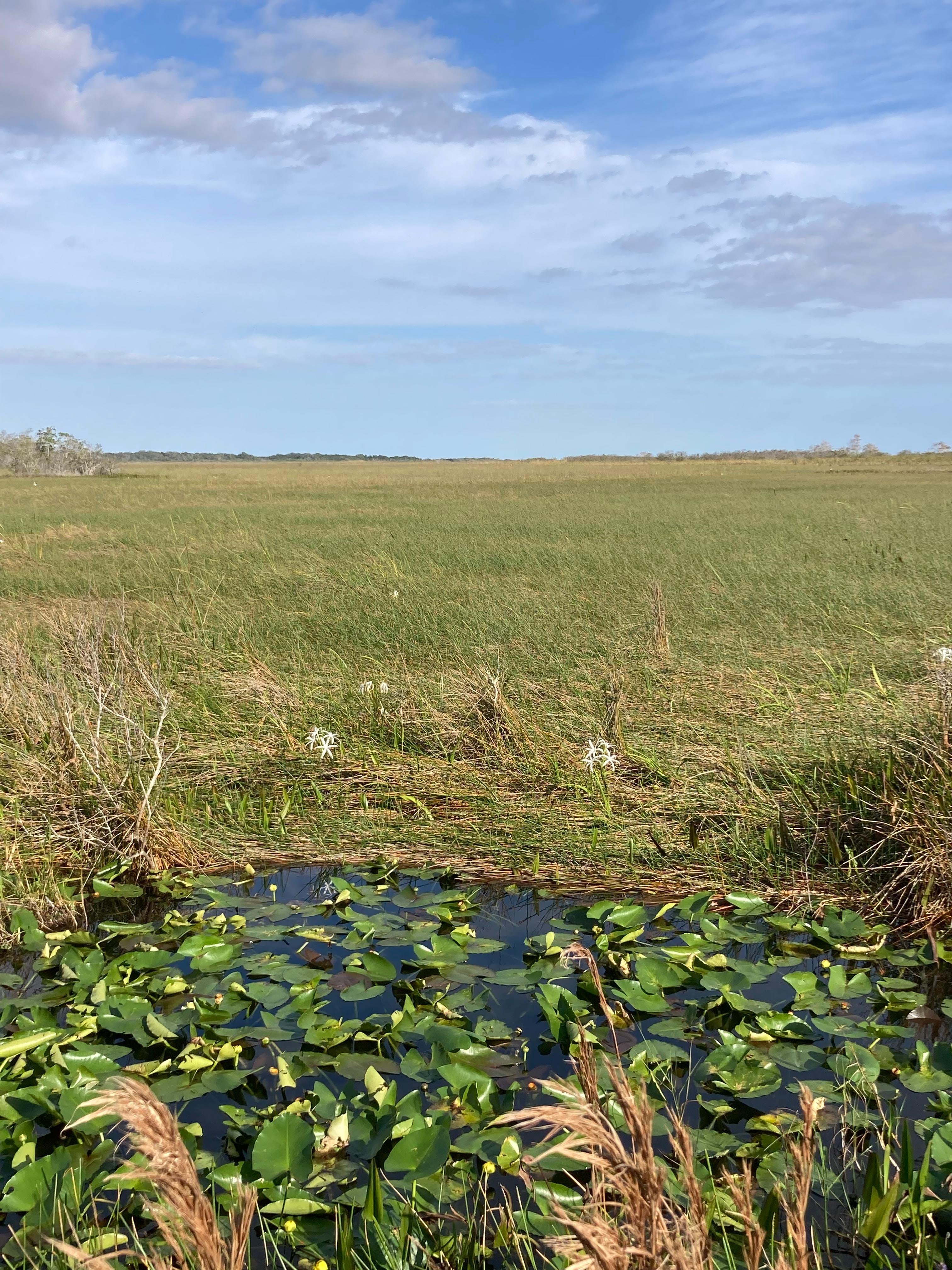 Full-Day Everglades Kayaking & Hiking Expedition from Miami