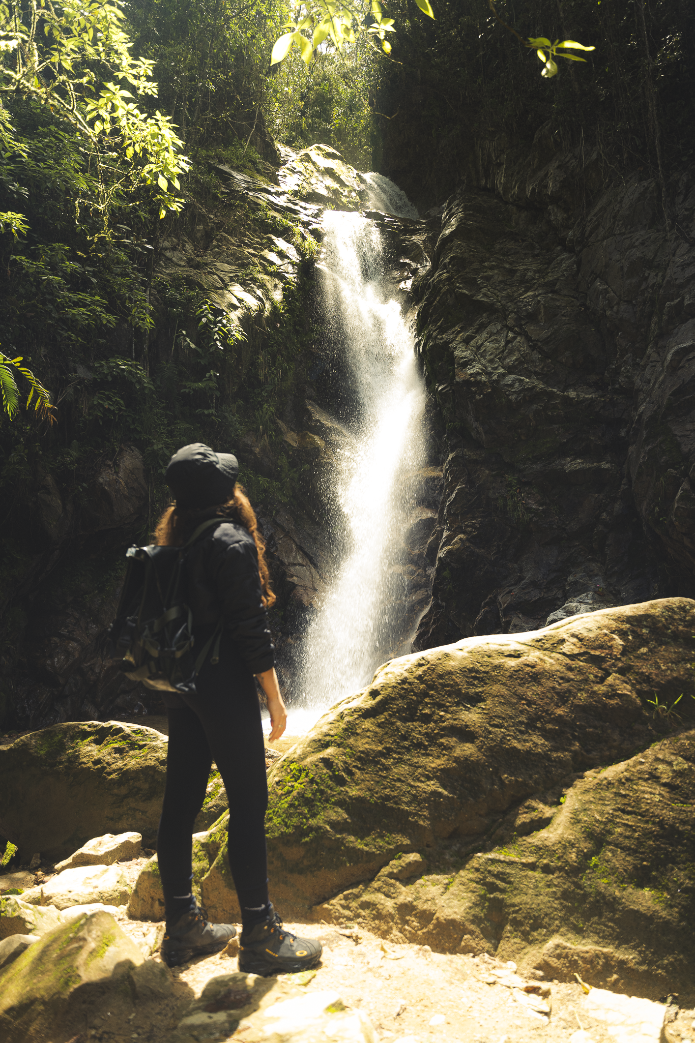 Ancient Forest Trail Hike to Hidden Waterfall from Medellín