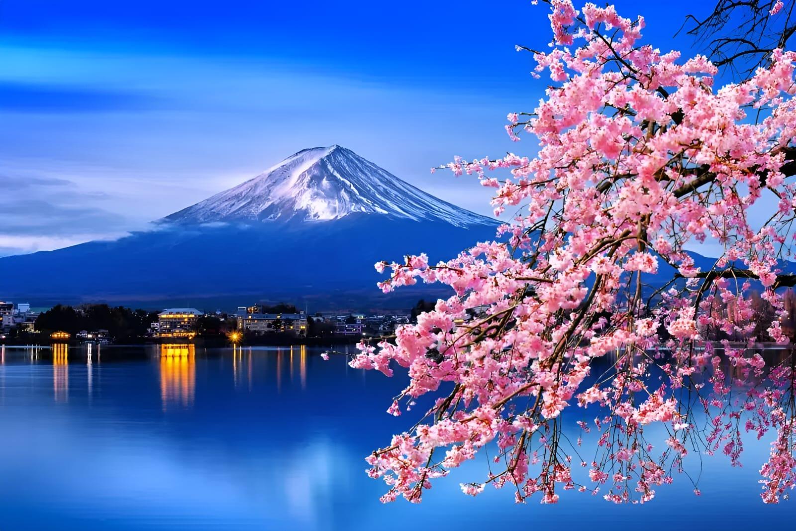 Mount Fuji & Hakone Private Day Tour from Tokyo