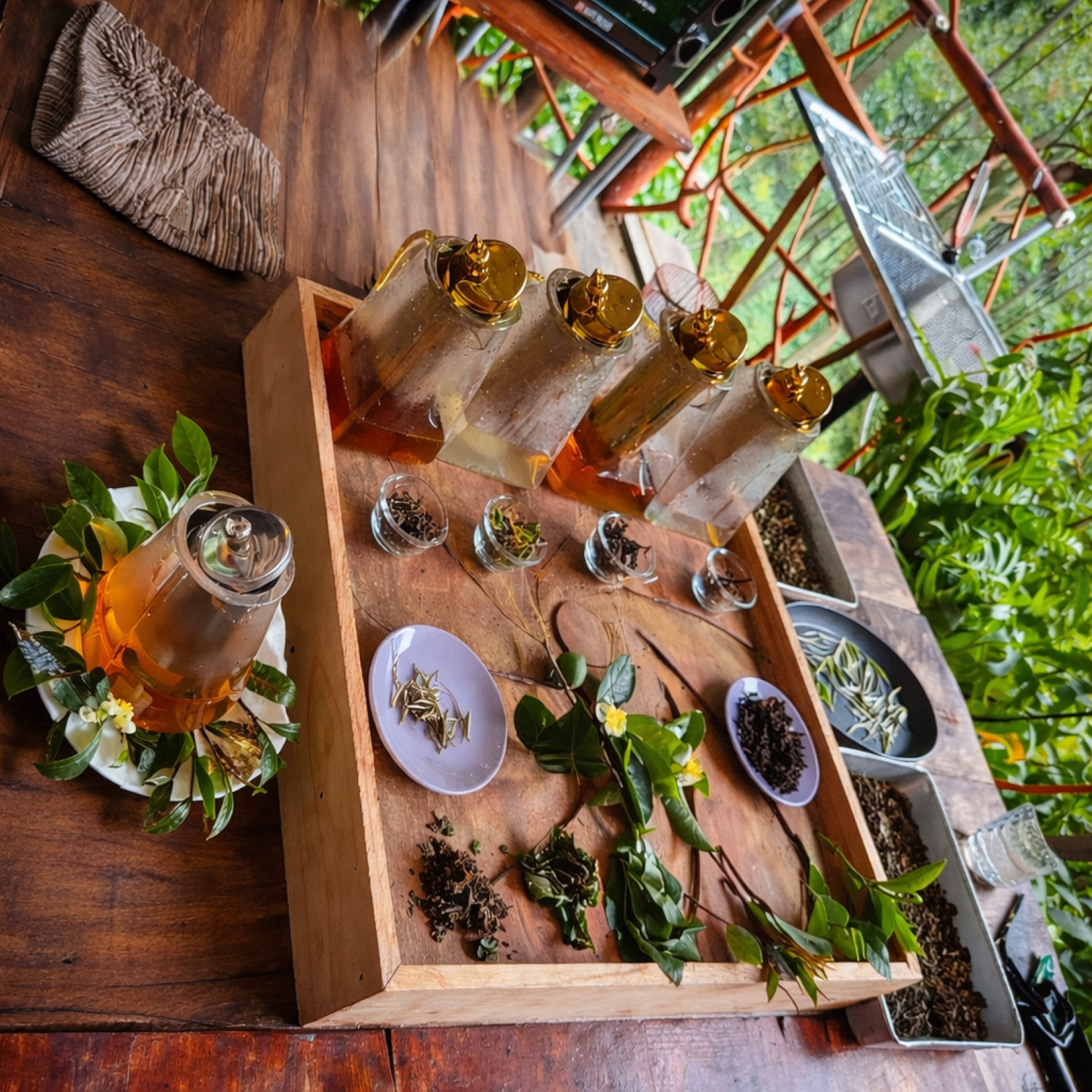 Ella: Hands-On Tea Making and Tasting Experience