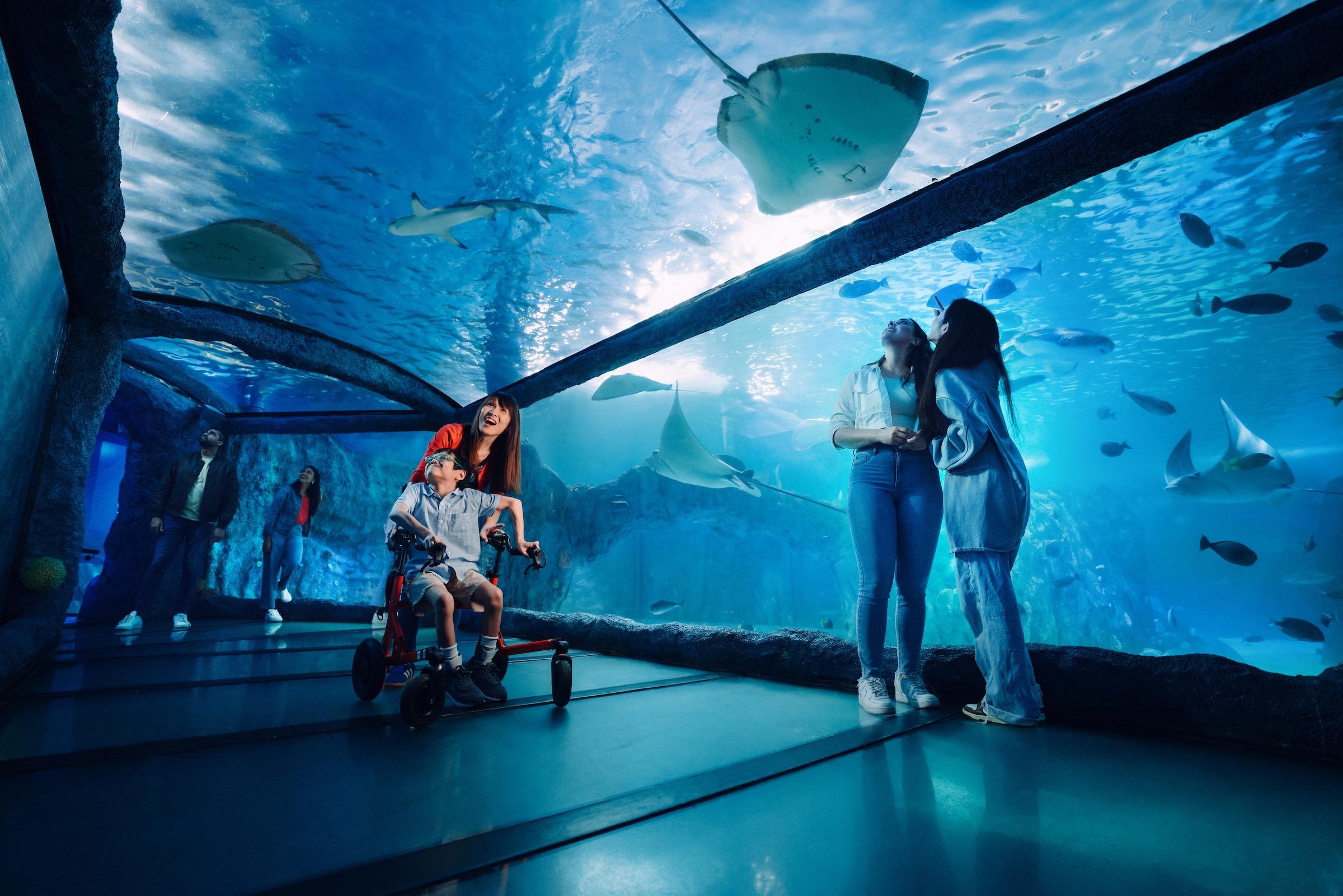 Sydney Multi-Attraction Combo Pass: 2, 3, or 4 Iconic Experiences