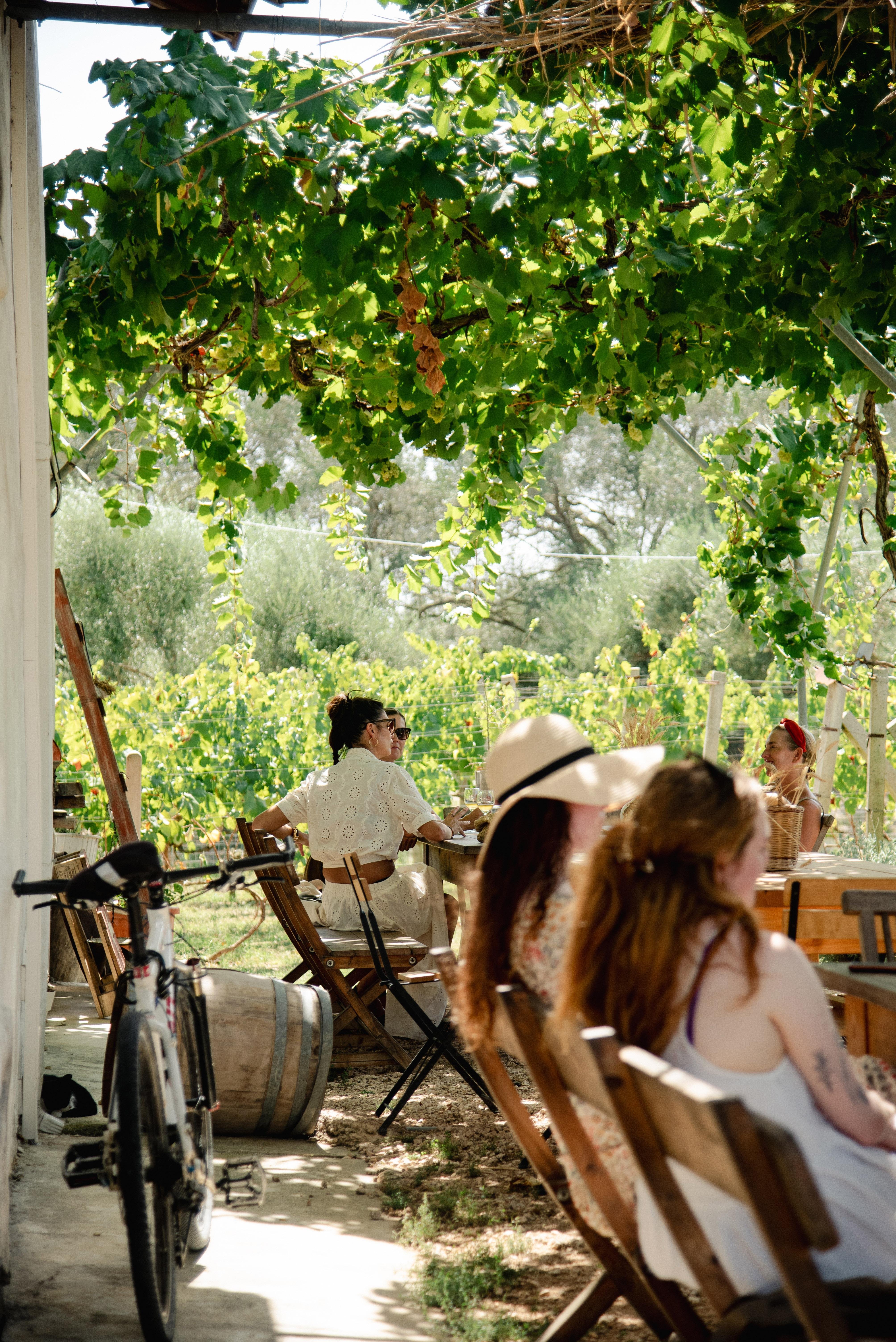 E-Bike Wine Tour through Corfu's Countryside