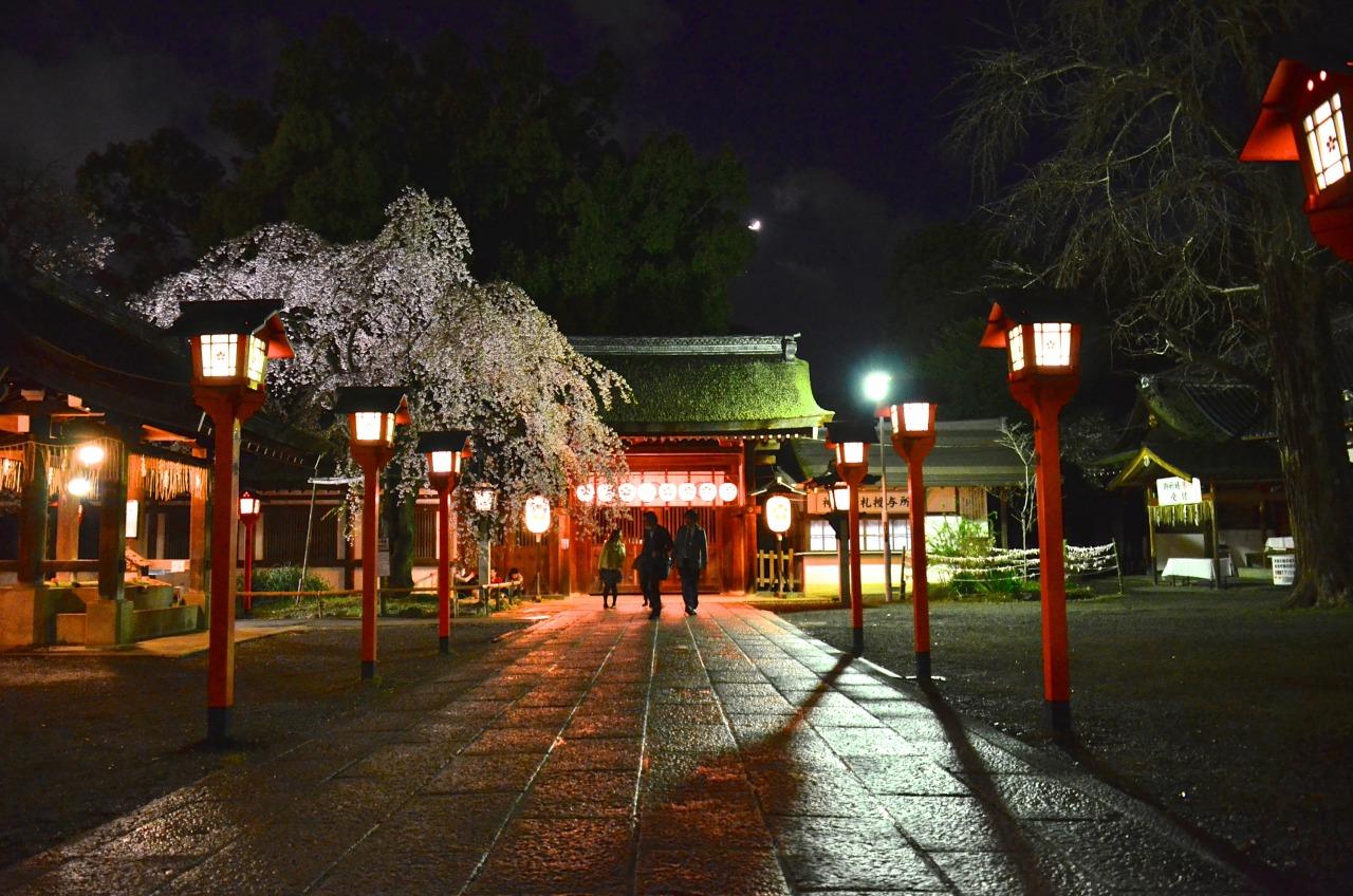 Private Kyoto Walking Tour: Samurai & Geisha Heritage