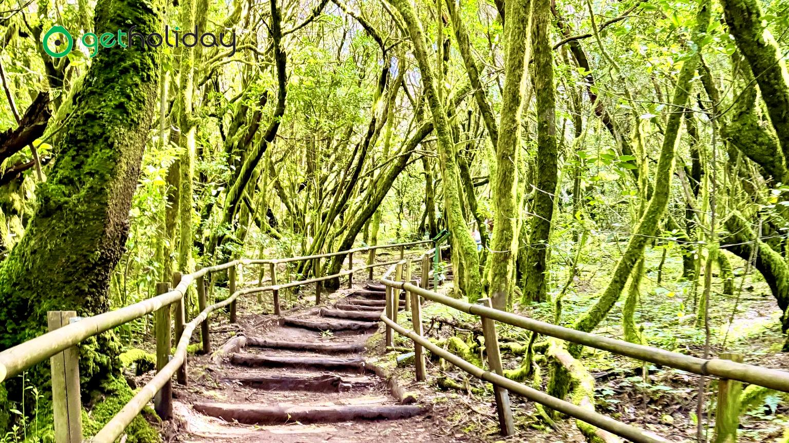 Intimate La Gomera Day Tour from Tenerife
