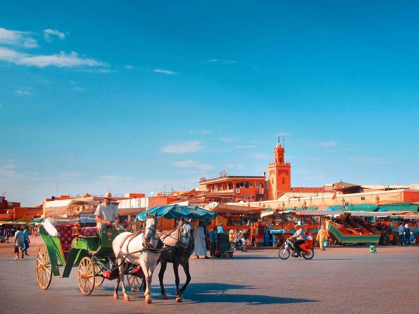 Full-Day Marrakech Excursion from Agadir