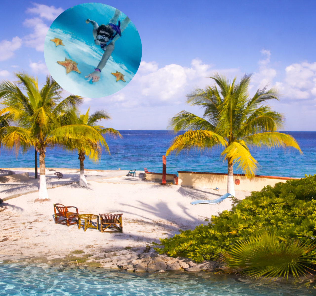 Cozumel Full-Day Adventure: Snorkeling, El Cielo Beach & Lunch