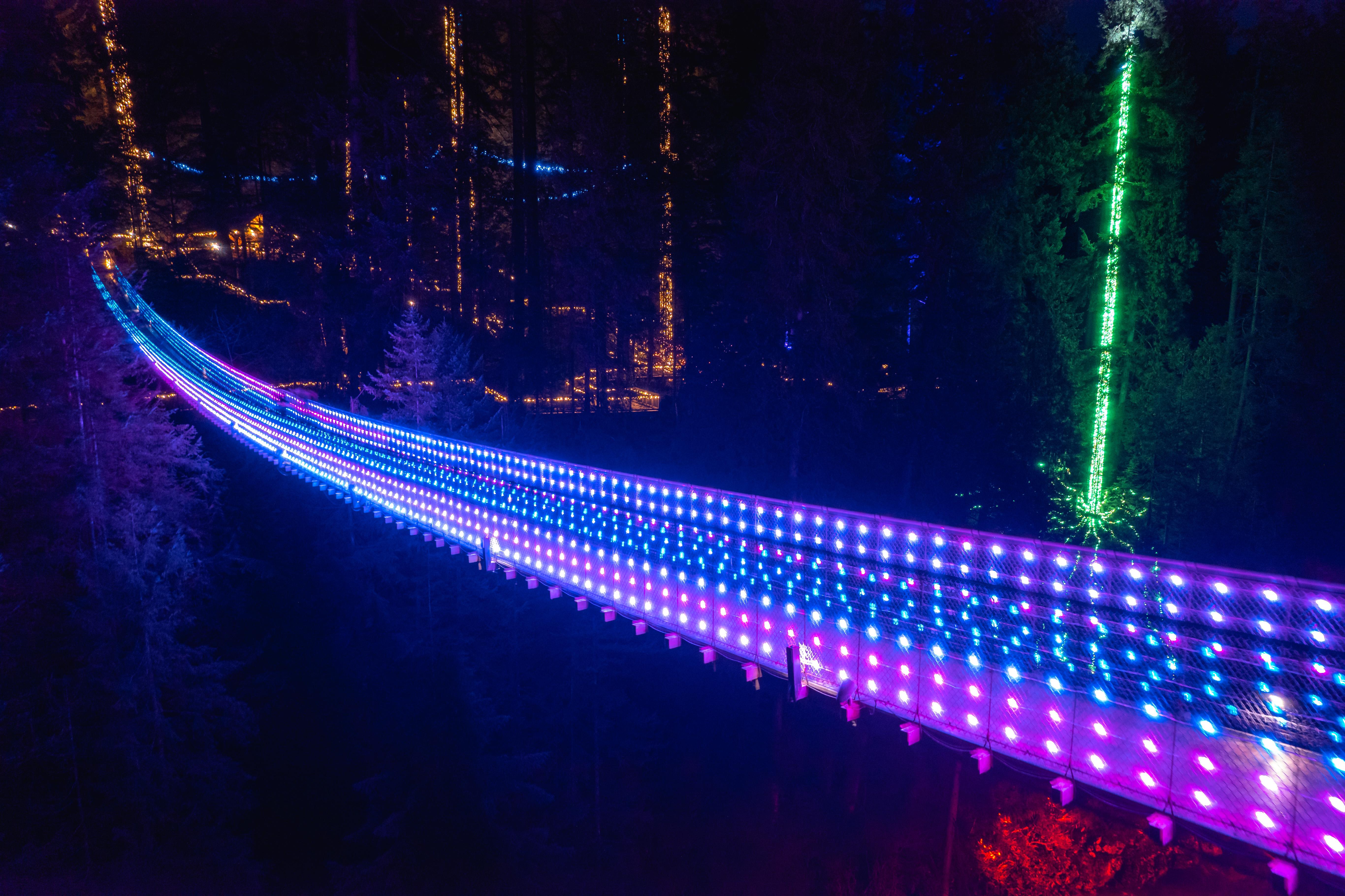 Capilano Suspension Bridge Park Entry