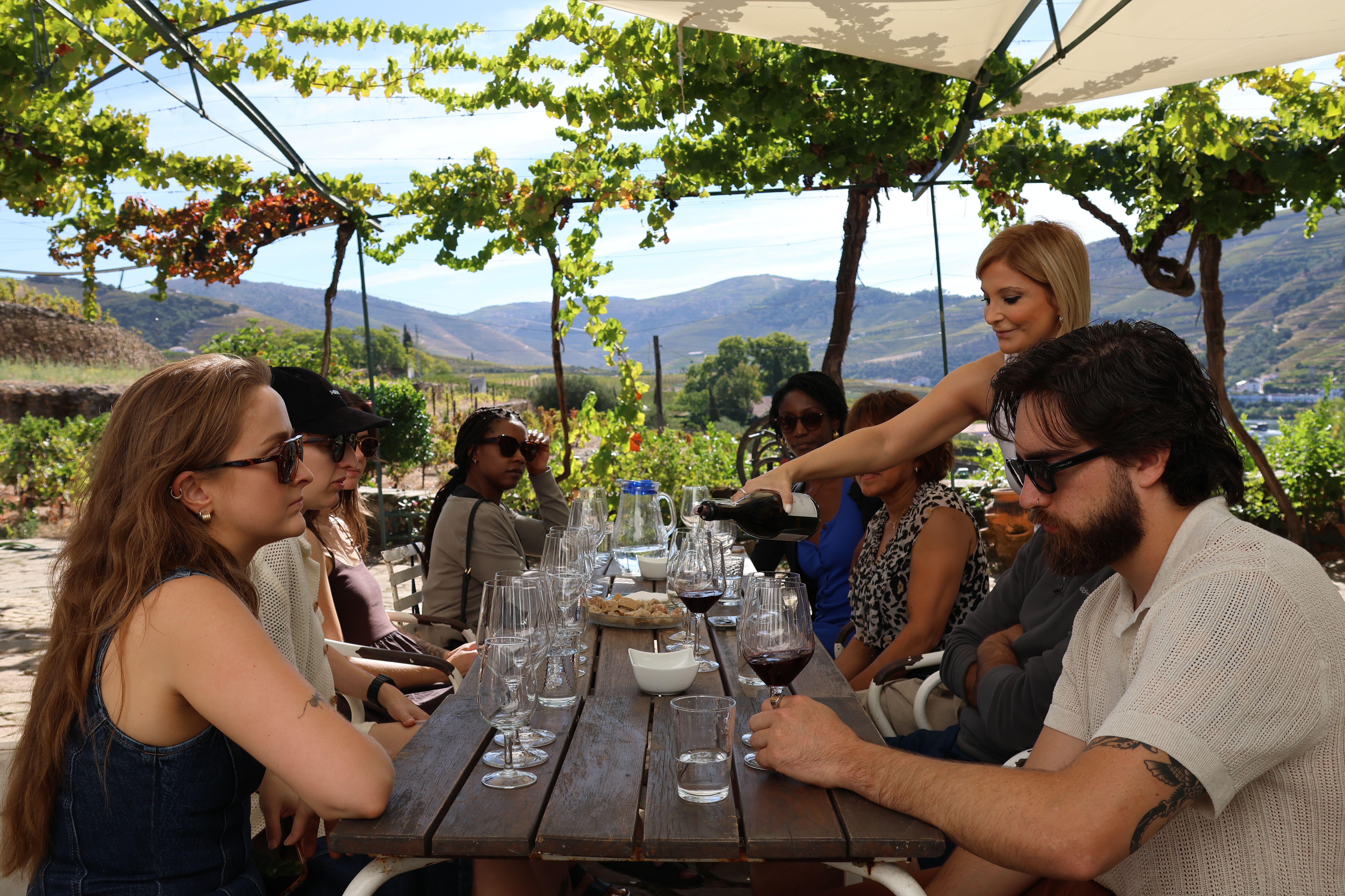 Douro Valley Wine & Cruise Day Trip from Porto