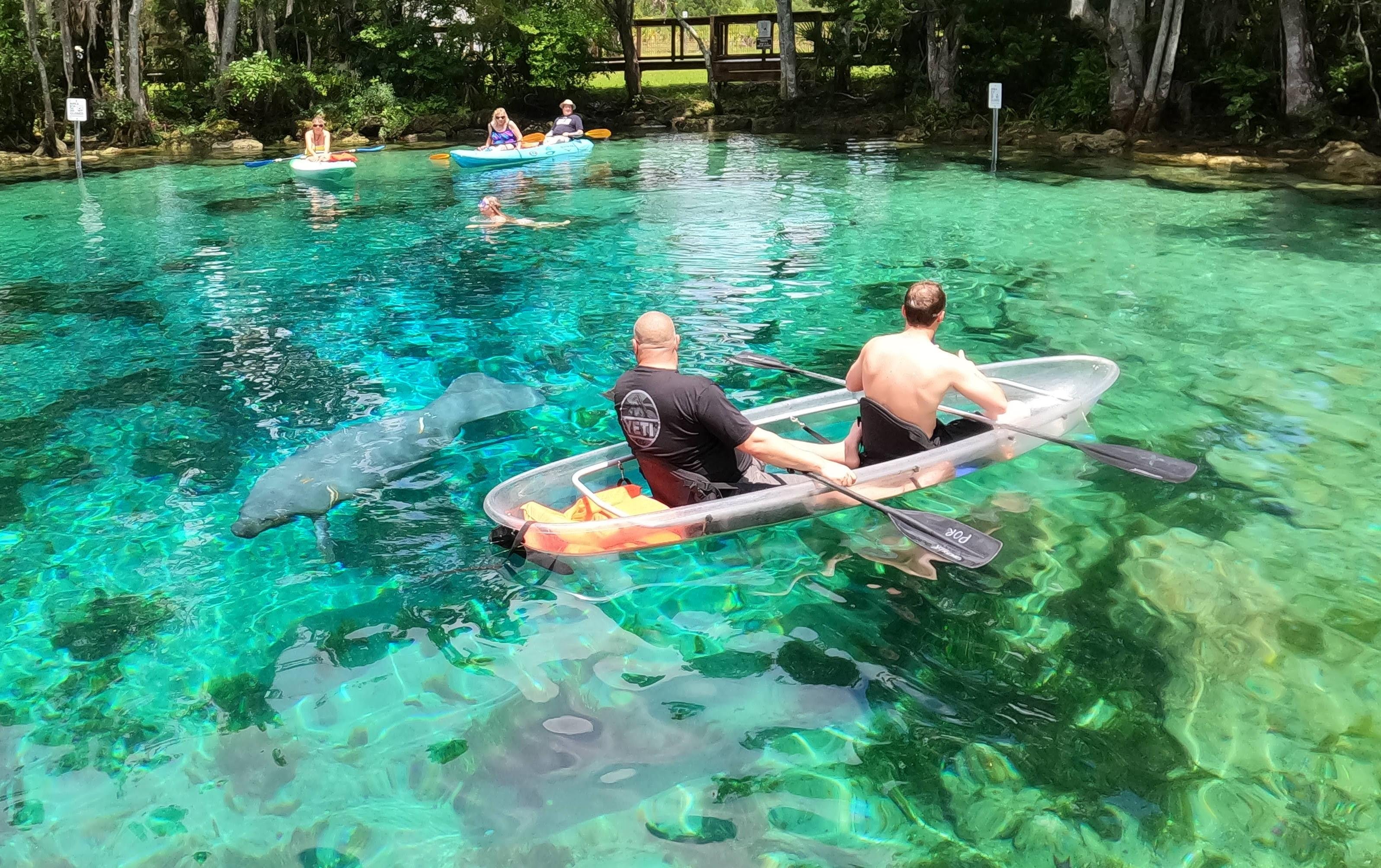 Tandem clear kayak near manatees visible beneath the water