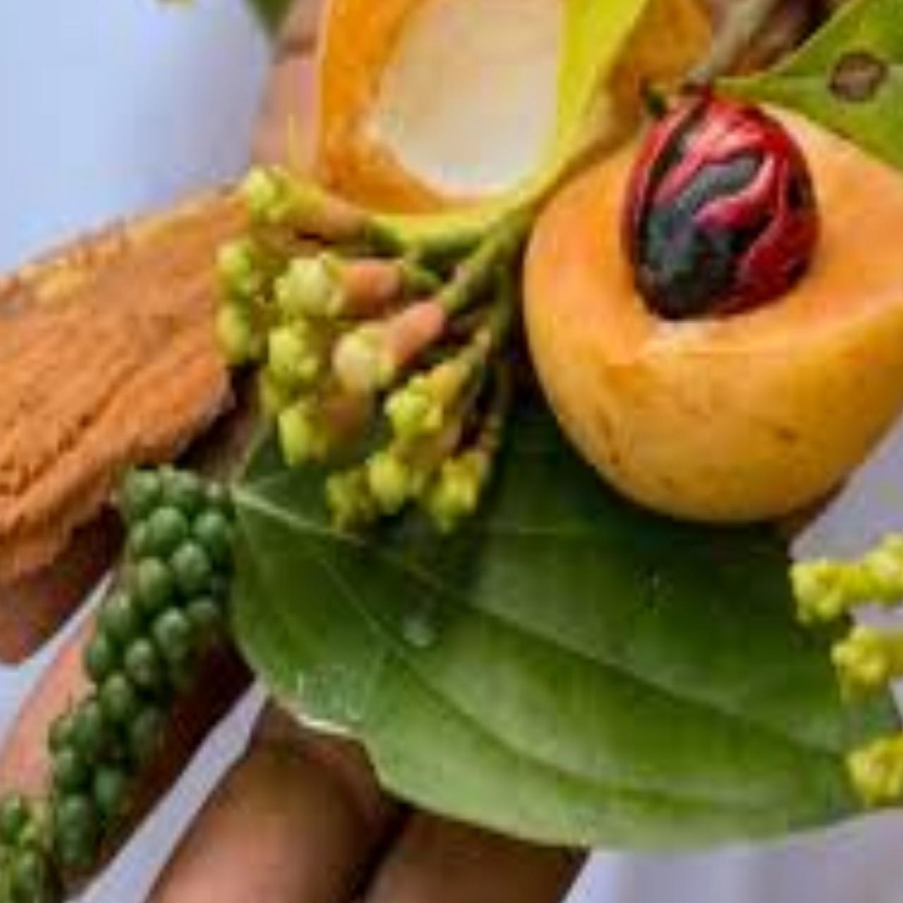 Zanzibar: Jozani Forest, Sea Turtles & Spice Farm Day Tour