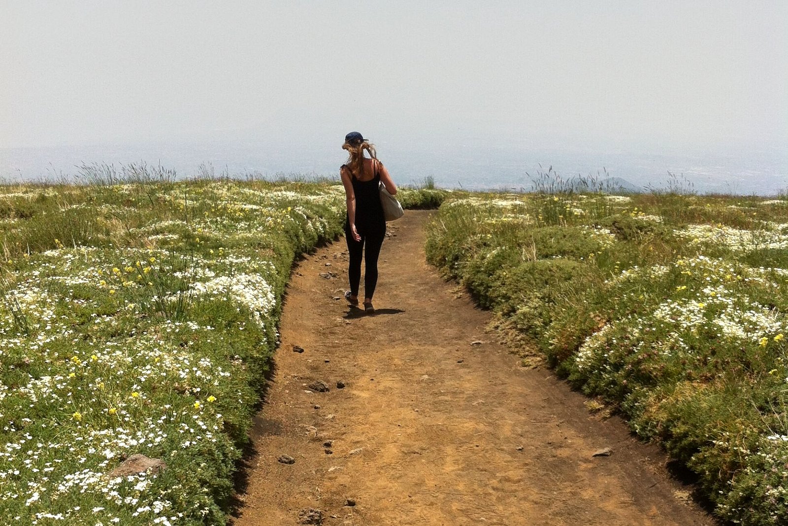 From Catania: Mount Etna Half-Day Tour and Wine Experience