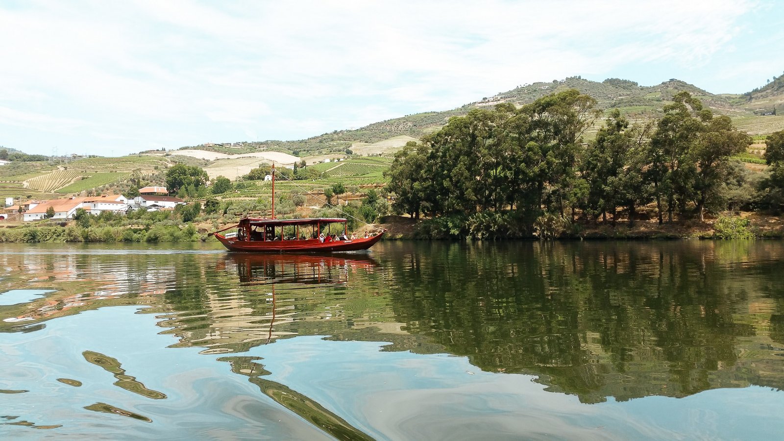 Douro Valley Premium Wine Tour with Cruise & Lunch from Porto
