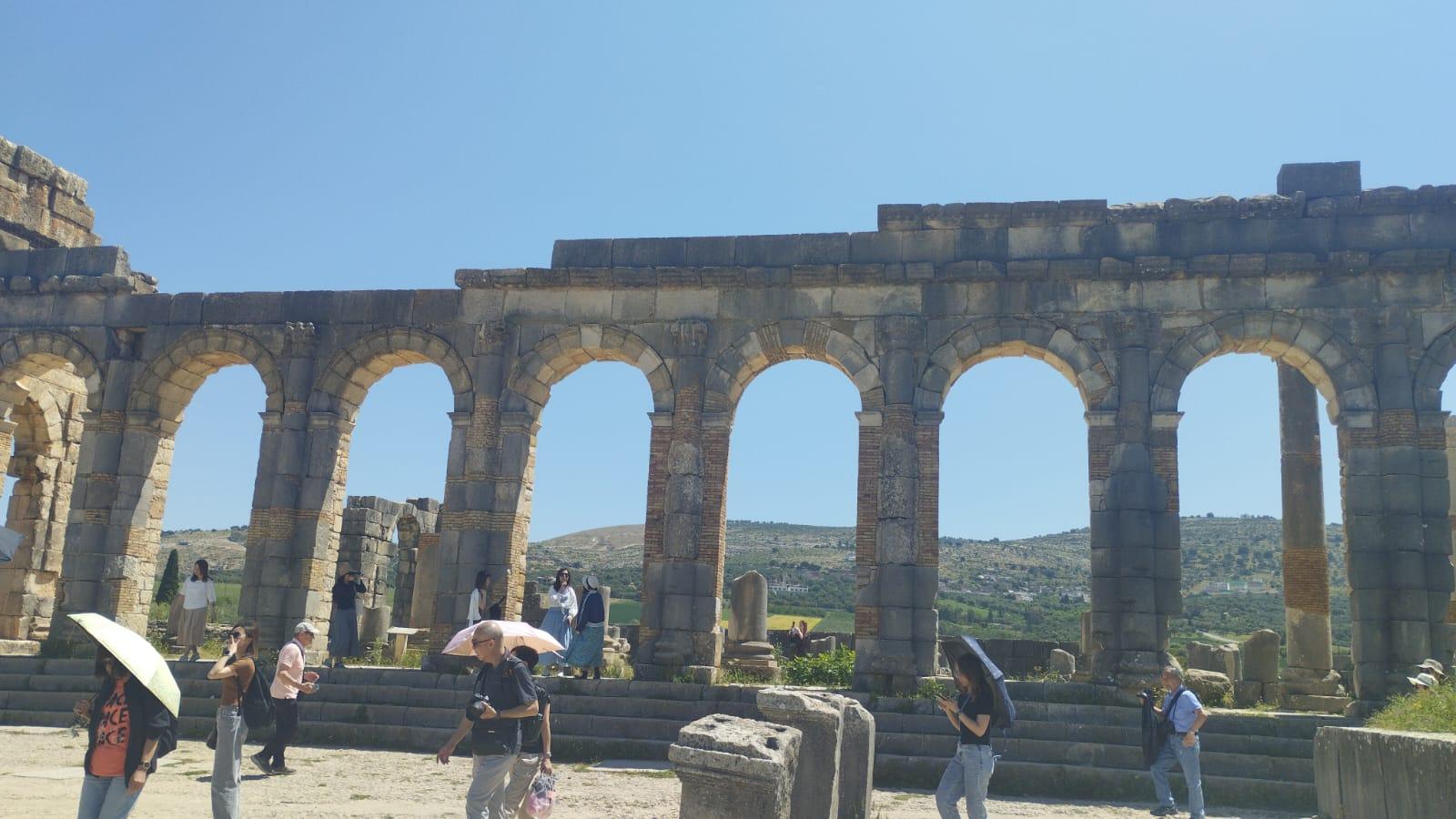 Fes Imperial Cities & Roman Ruins Day Trip