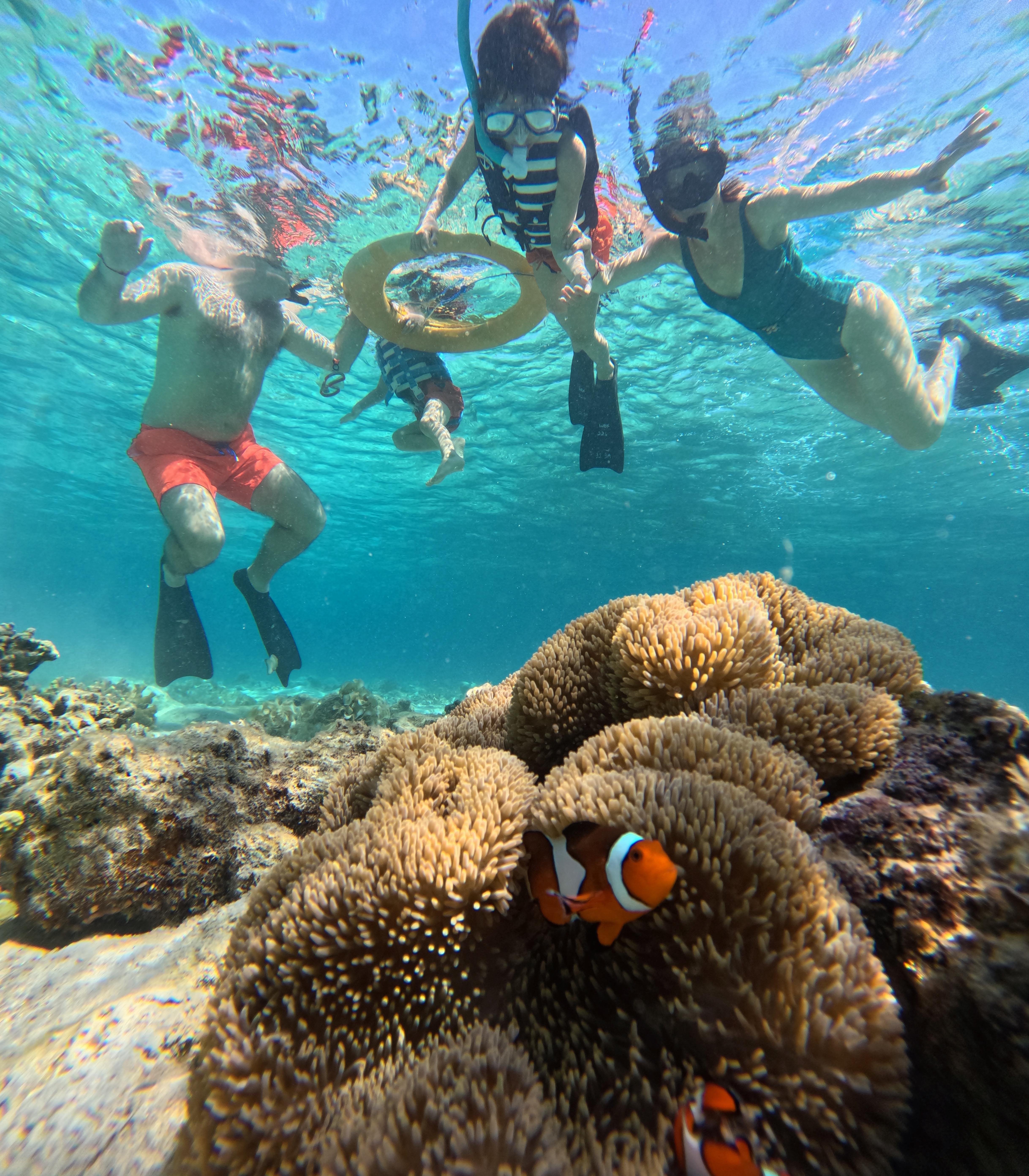 Menjangan Island Snorkeling Tour from Bali