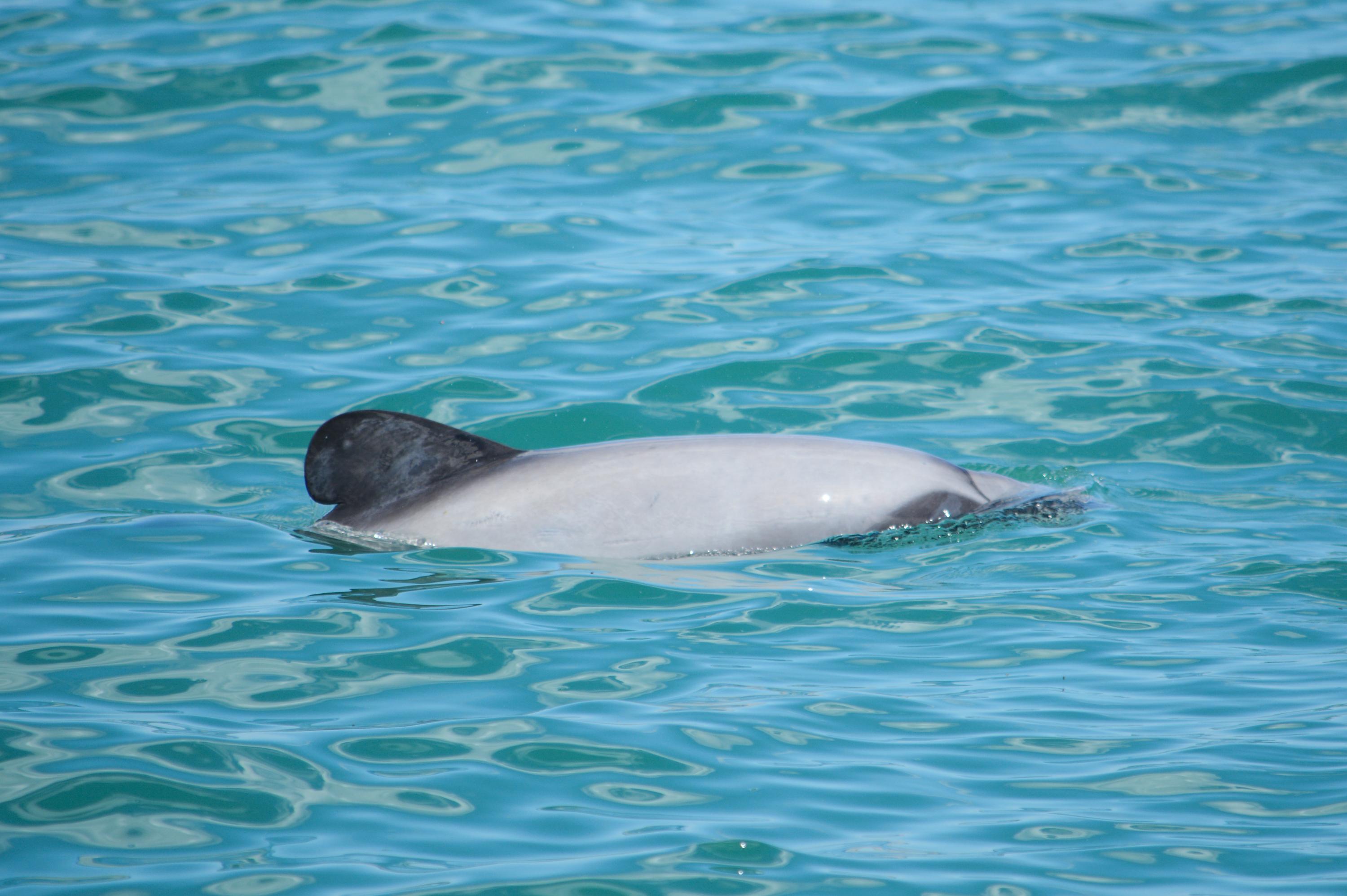 South Island tour photo — image 19