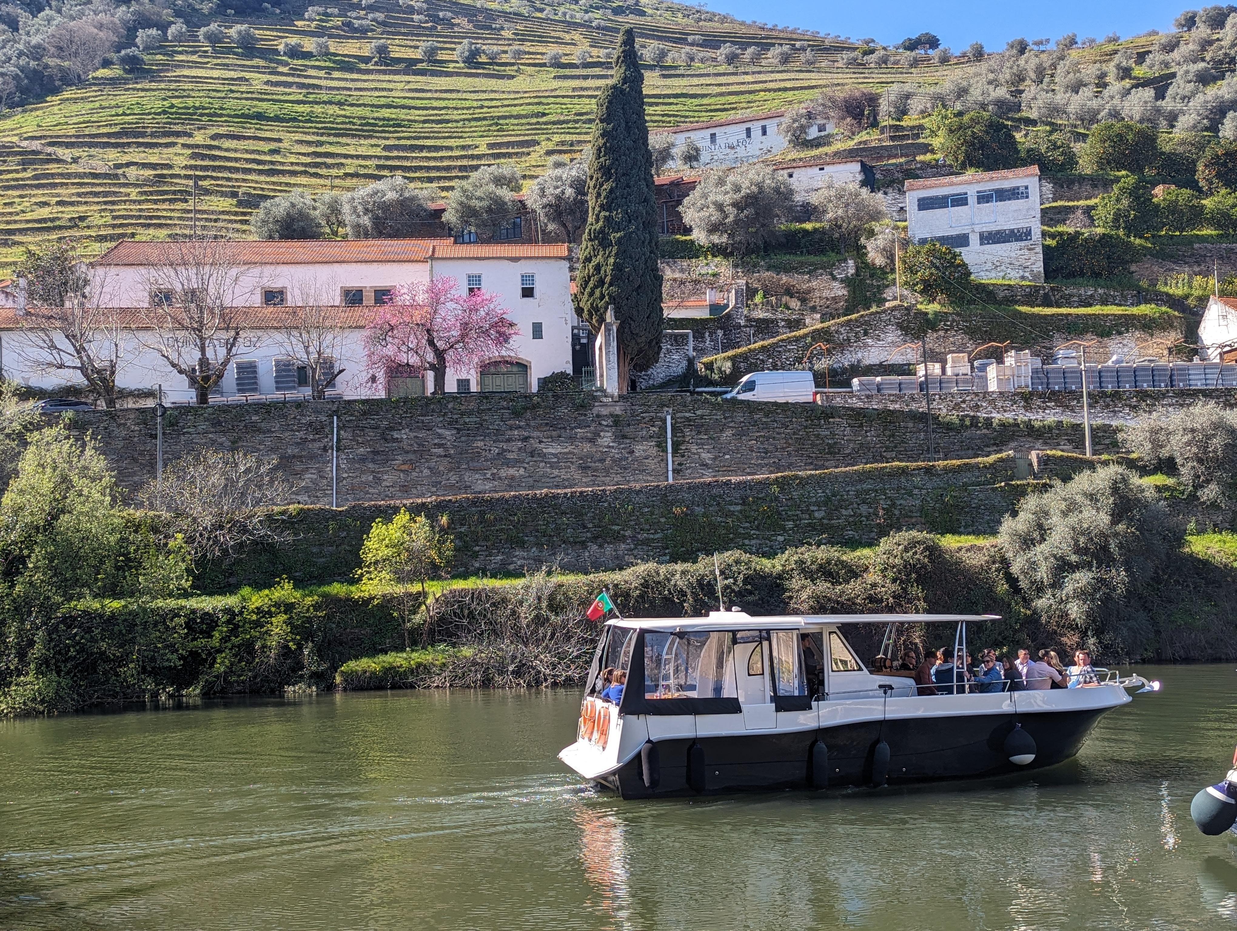 Porto: Douro Valley & Vinho Verde Day Tour with Tastings, Lunch & Boat Cruise