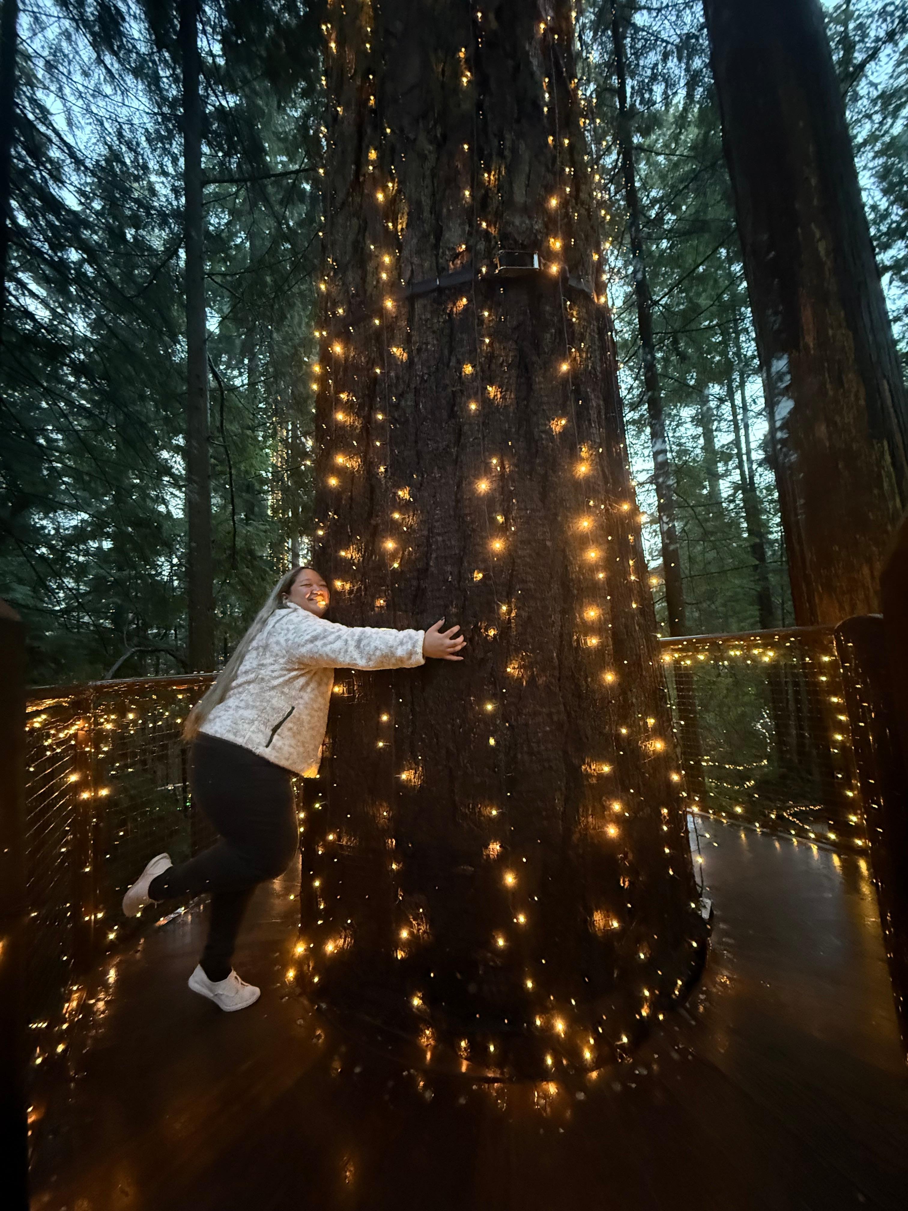 Capilano Suspension Bridge & Stanley Park Small Group Tour