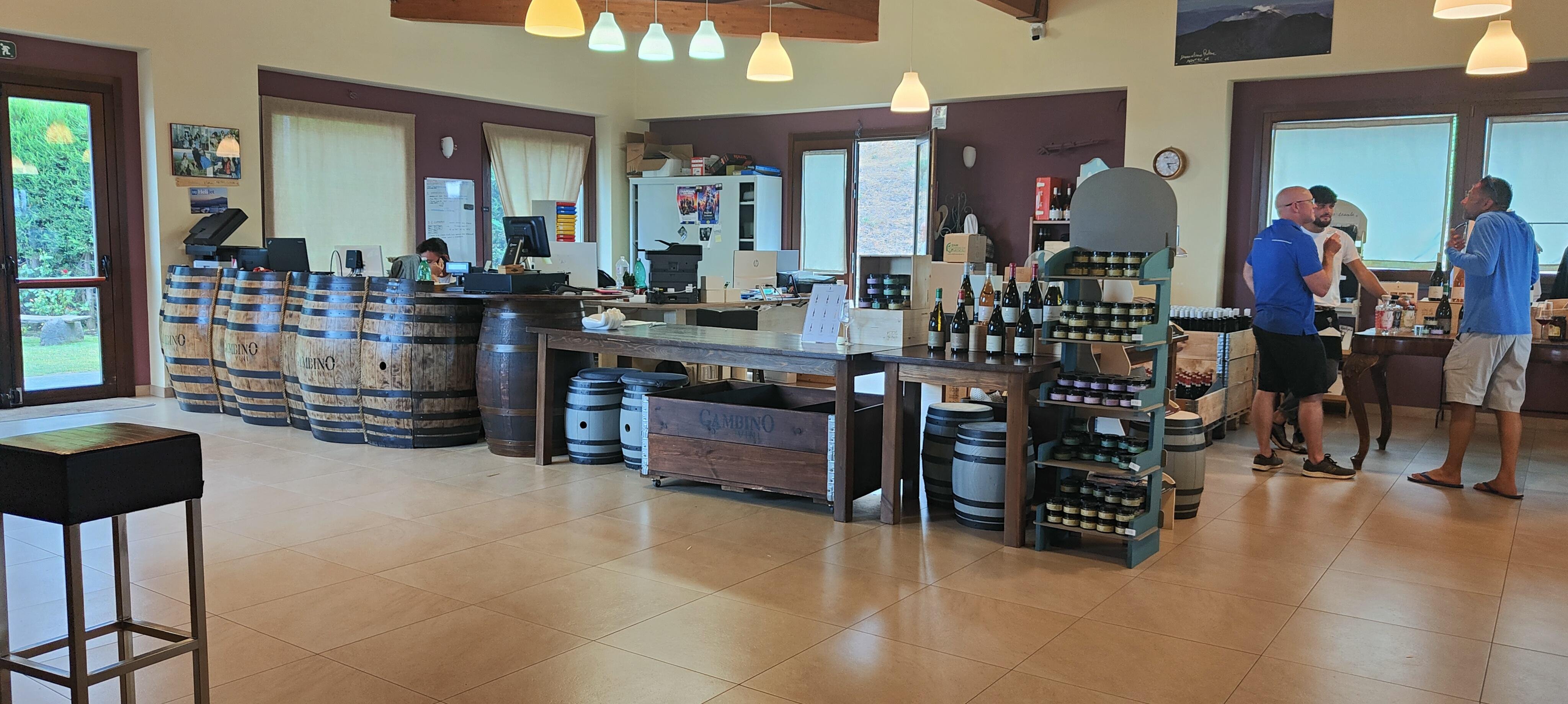 Etna Wine Tasting & Scenic Villages Tour from Taormina