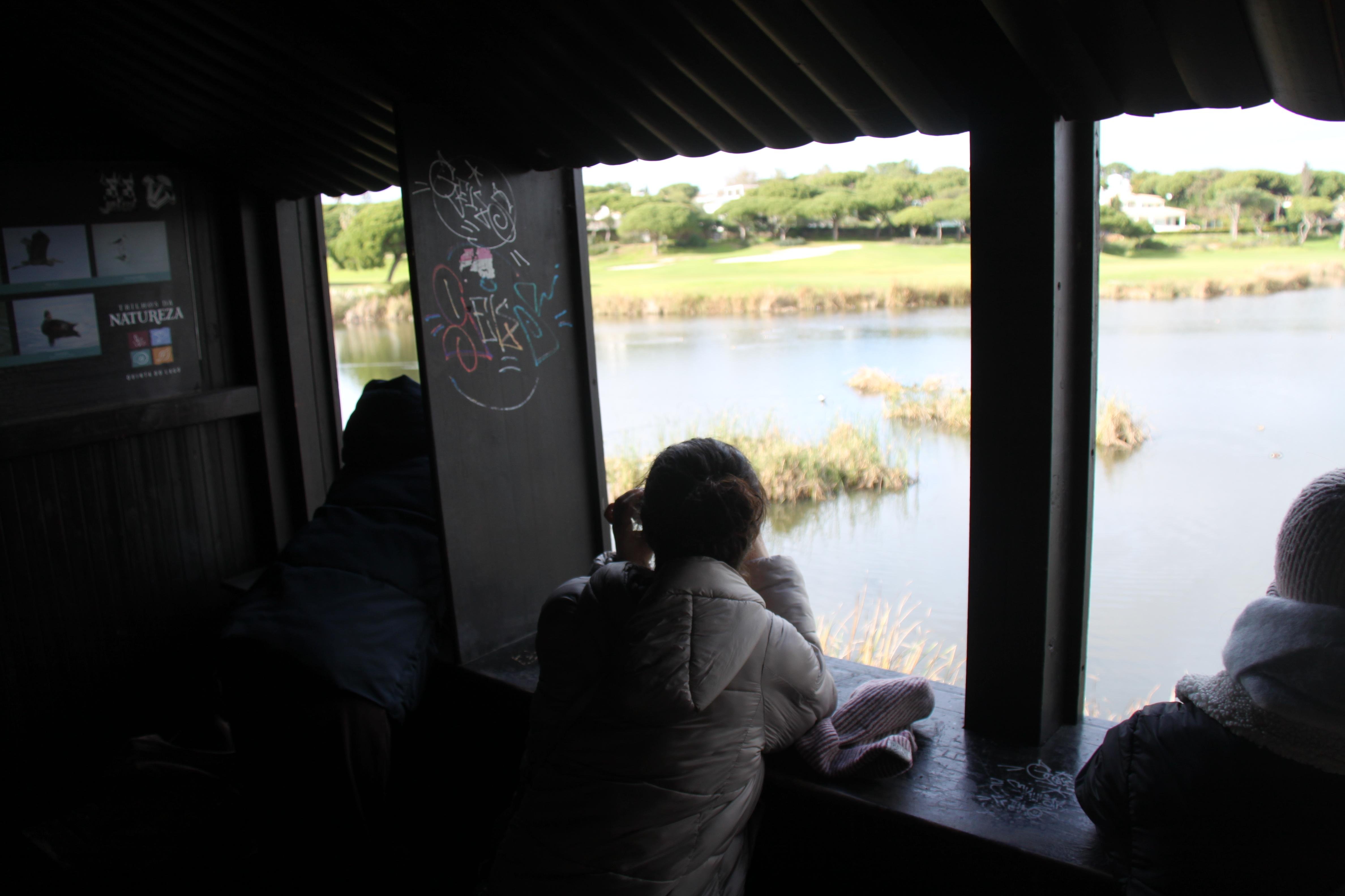 Faro: Ria Formosa Birdwatching