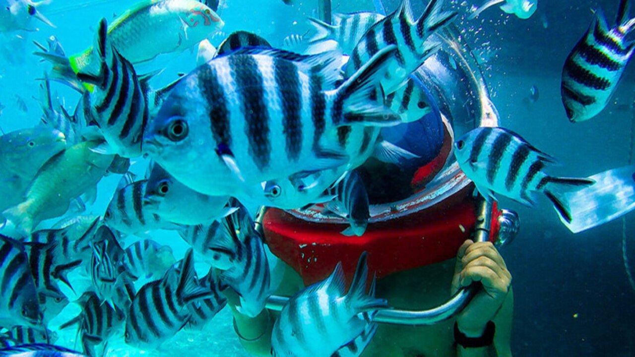 Underwater Ocean Floor Walking Experience in Mauritius