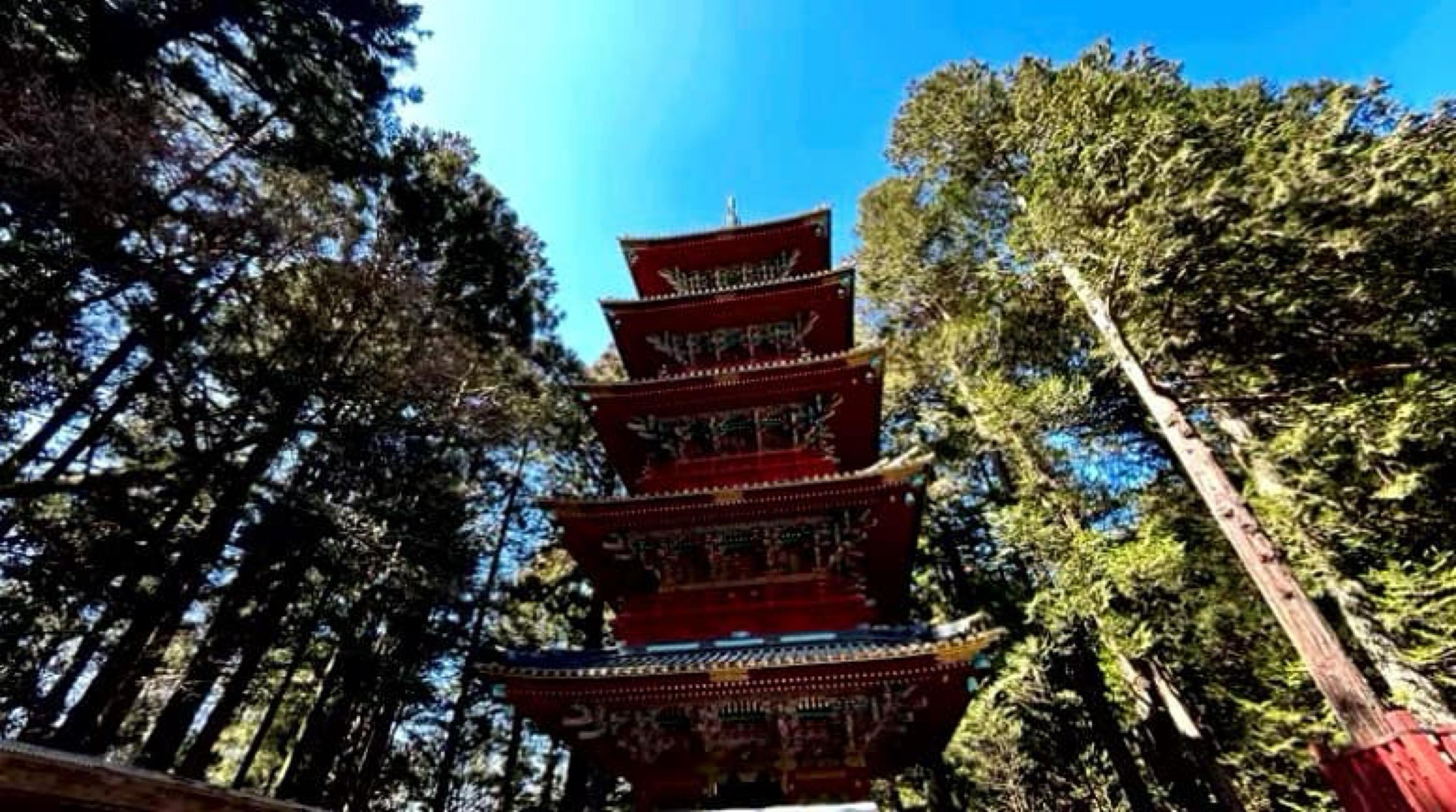 Nikko Photography Day Tour from Tokyo – Private & Customizable