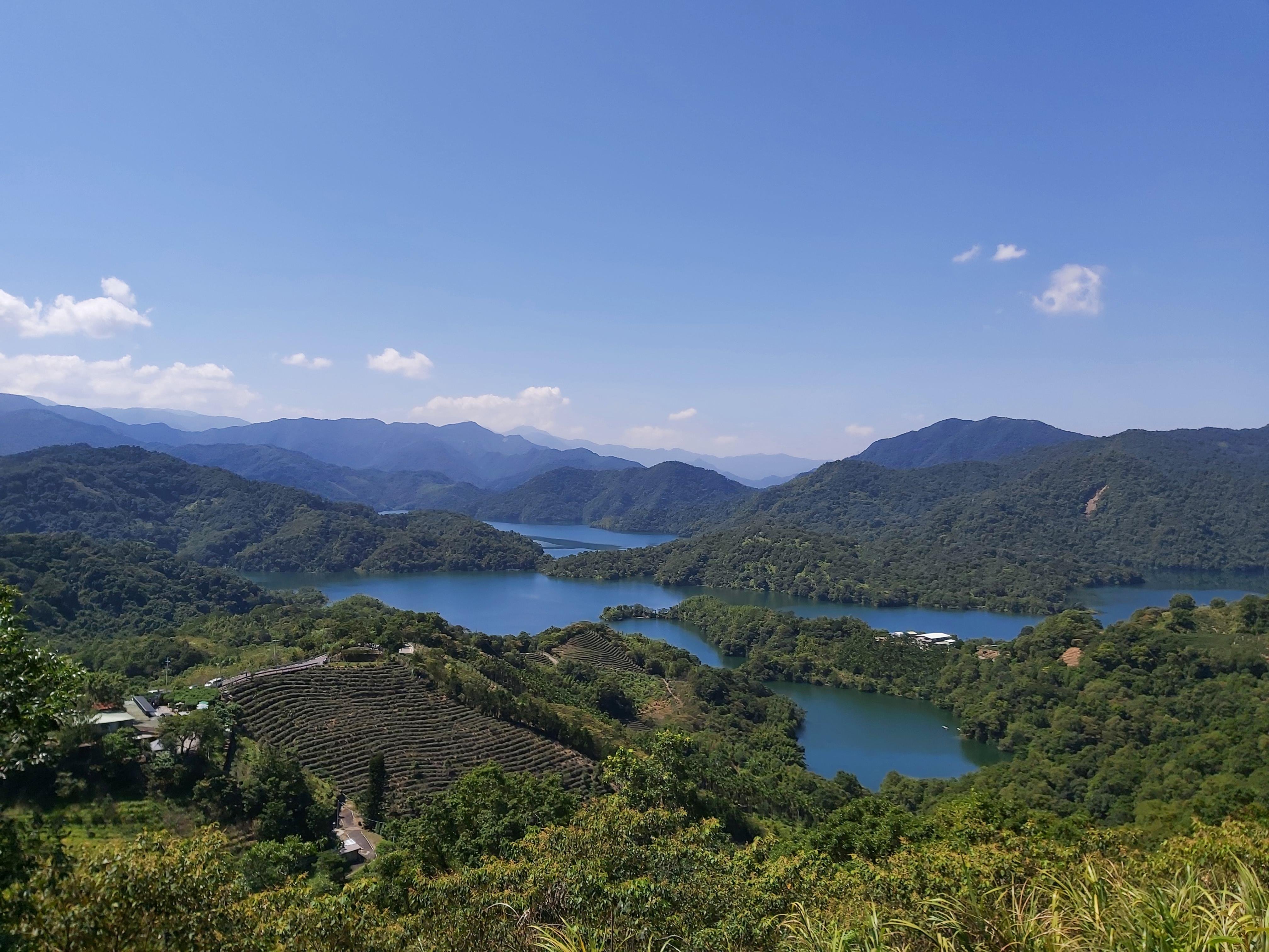 Thousand Island Lake & Pinglin Tea Plantation Half-Day Trip