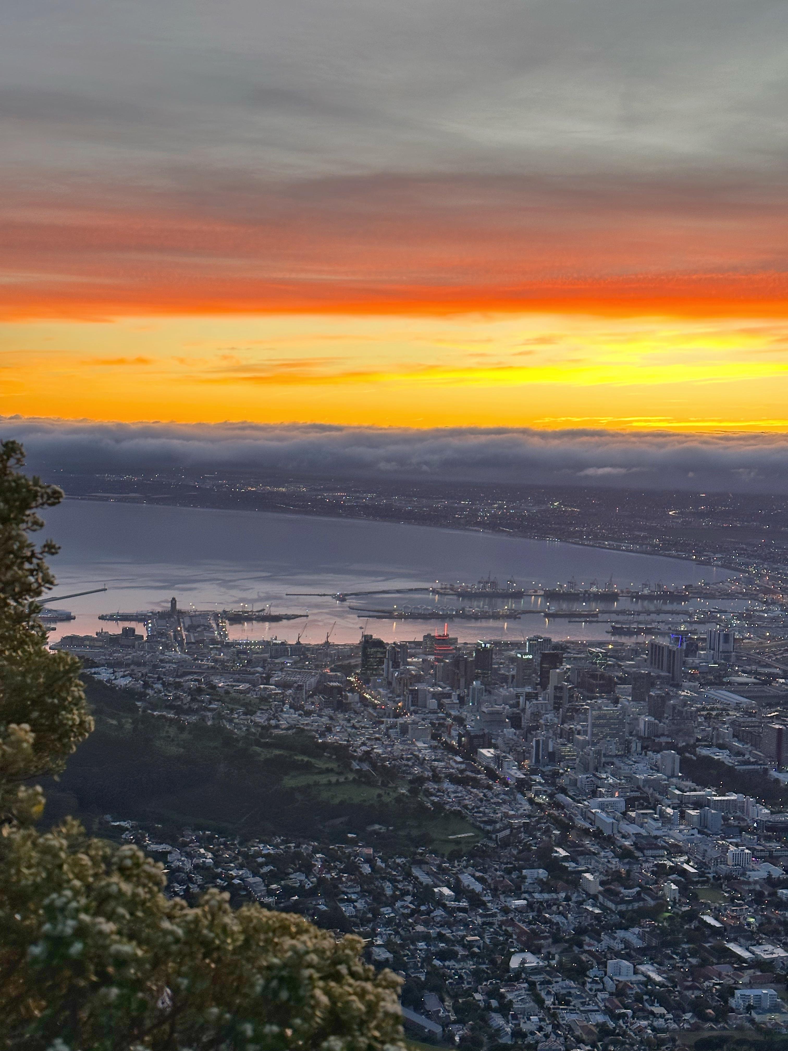 Cape Town: Lion's Head or Table Mountain Guided Hike