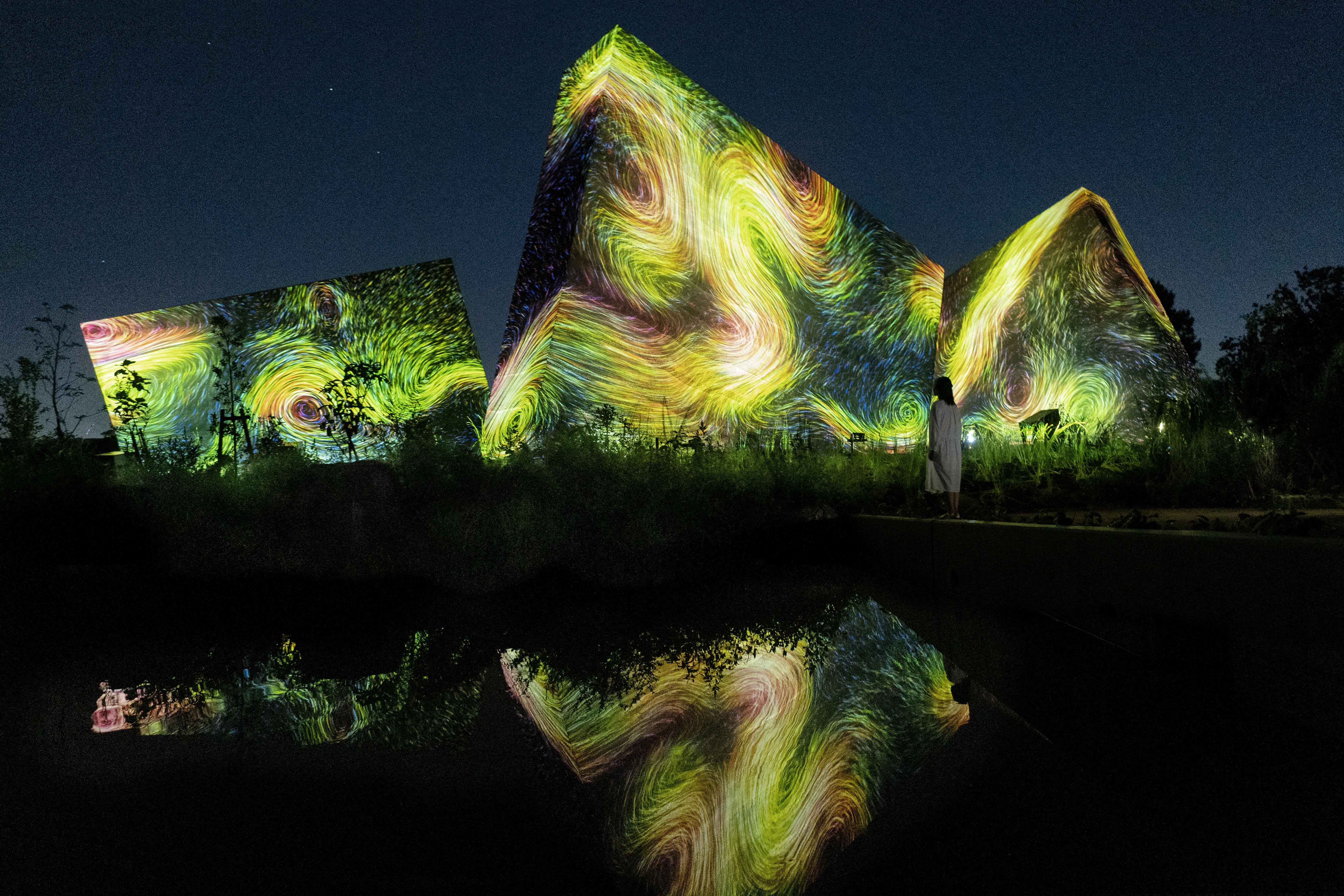 Osaka: teamLab Botanical Garden Night Entry
