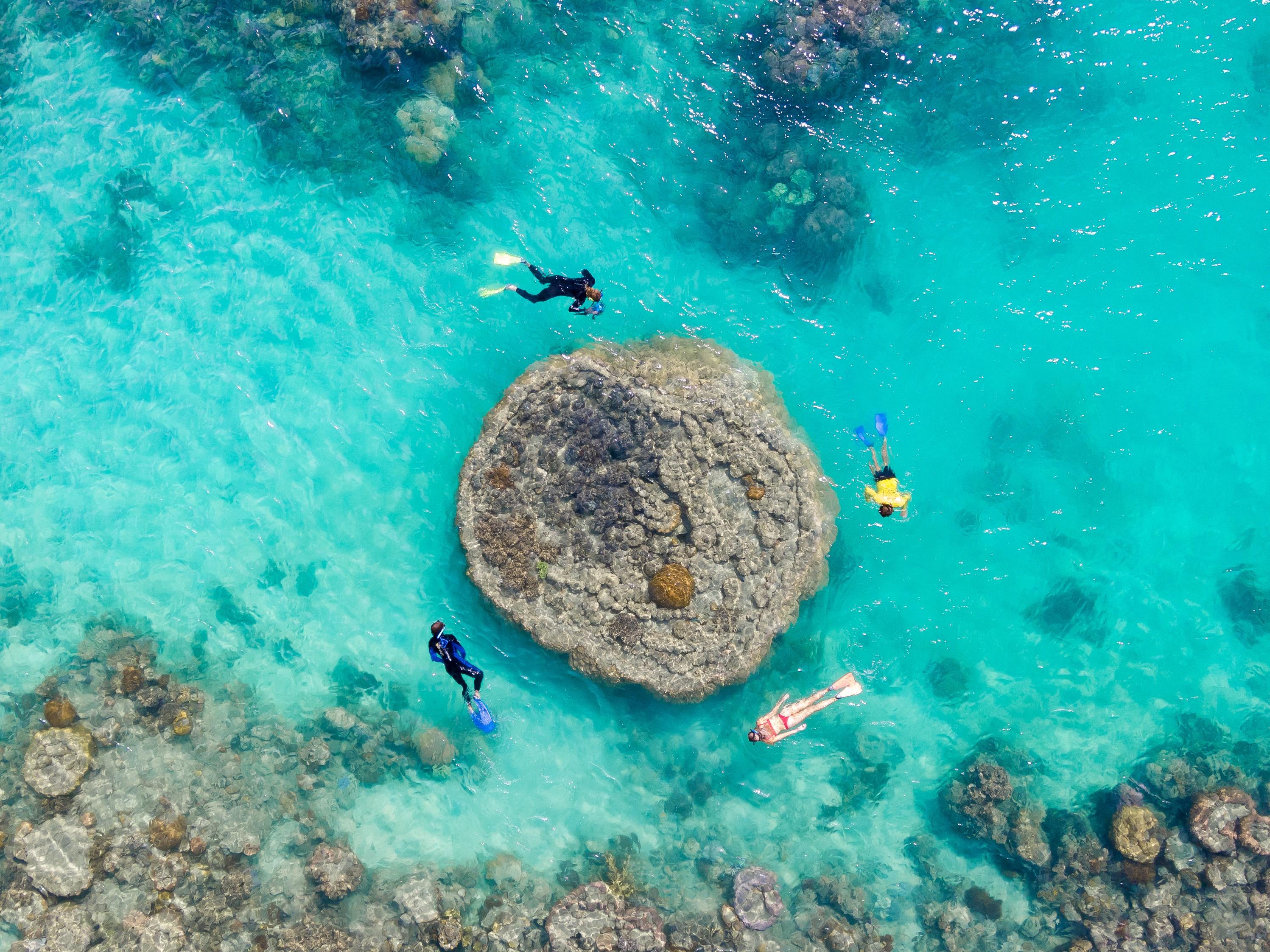 Whitsundays Fly-Raft Adventure: Scenic Flight & Snorkeling Day Tour