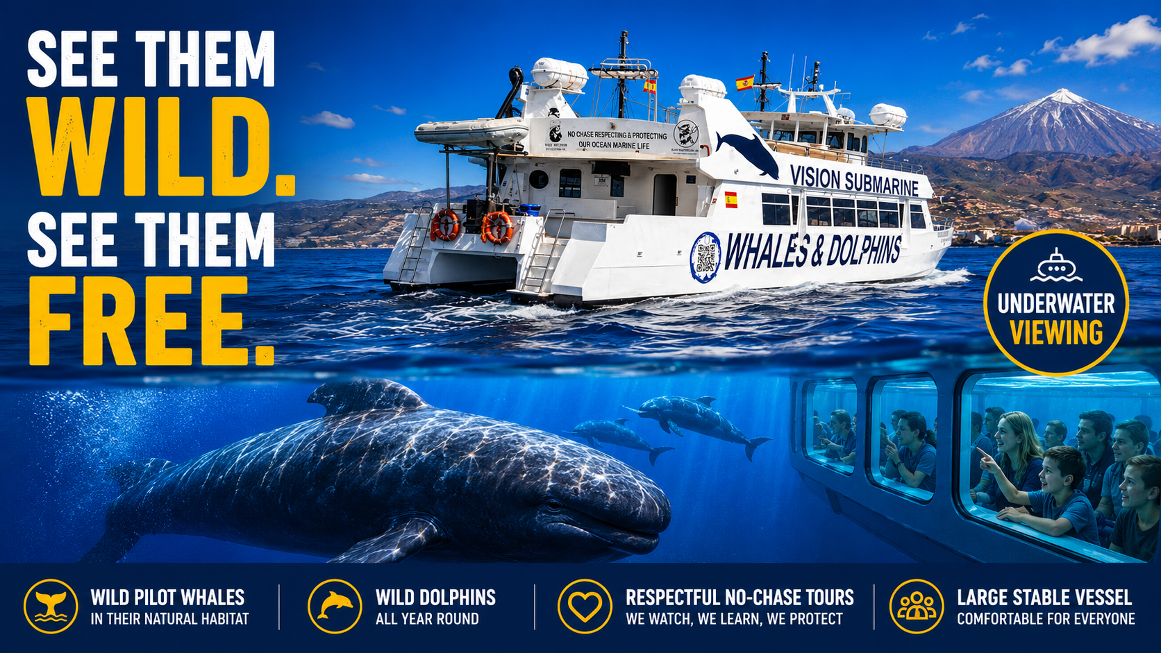 Tenerife Eco-Friendly Whale & Dolphin Catamaran Safari