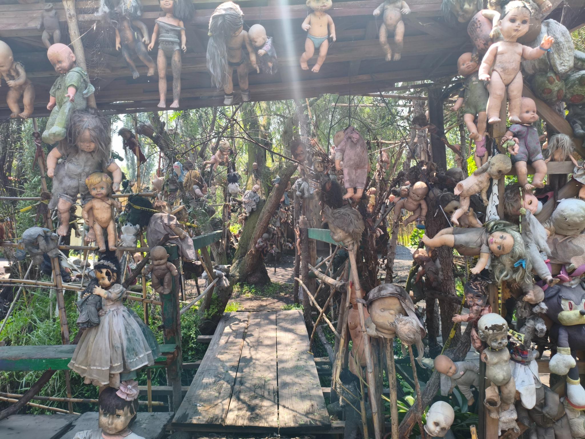 Cuemanco Canals, Doll Island, Axolotl Sanctuary & Coyoacán