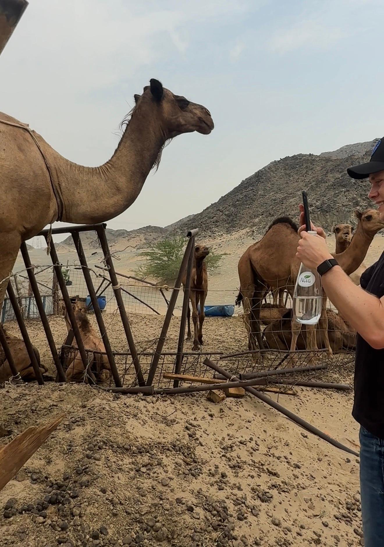 Jeddah Desert Camel Farm & Sunset Experience