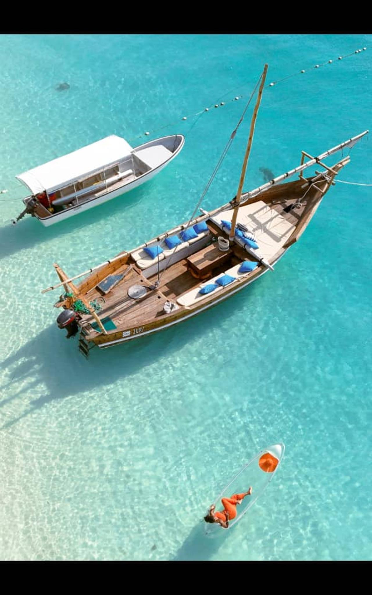 Mnemba Dolphin Encounter & Reef Snorkel