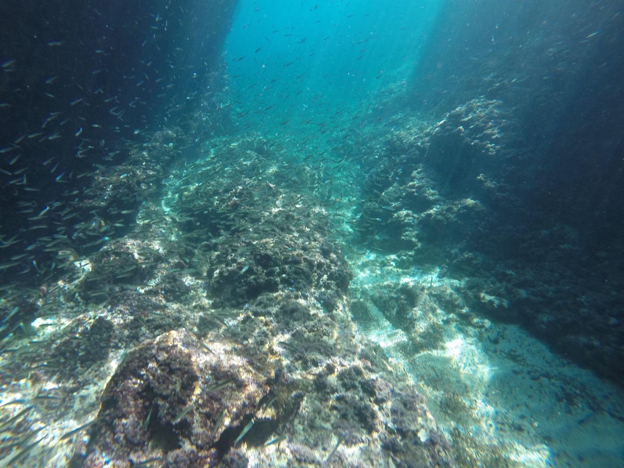 Dubrovnik Speedboat Excursion: Blue Cave & Sunj Beach