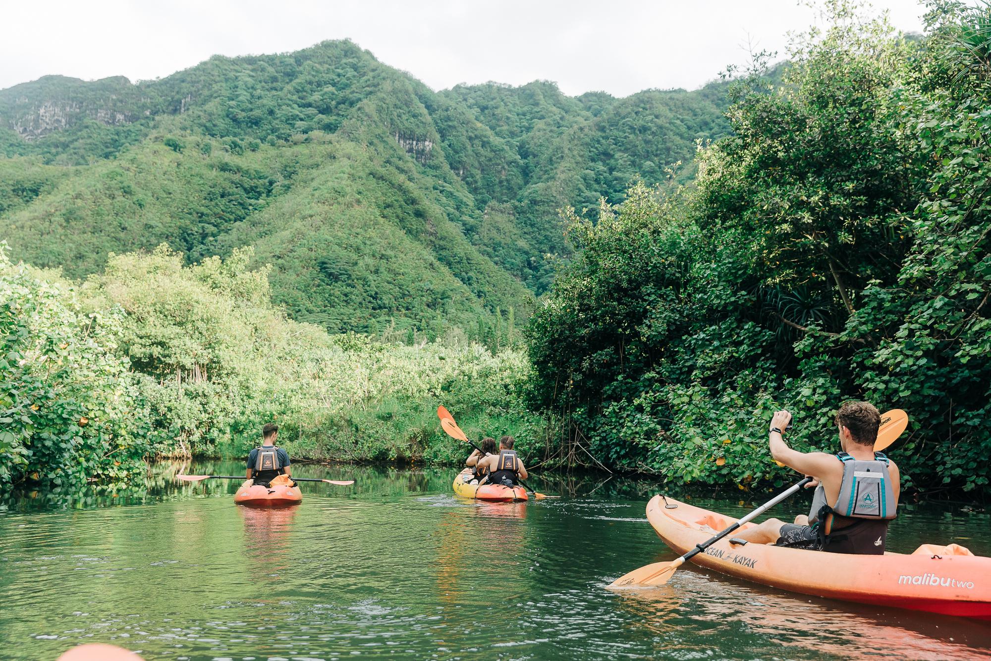 Oahu Kahana Rainforest River Kayak Rental (4 Hours)