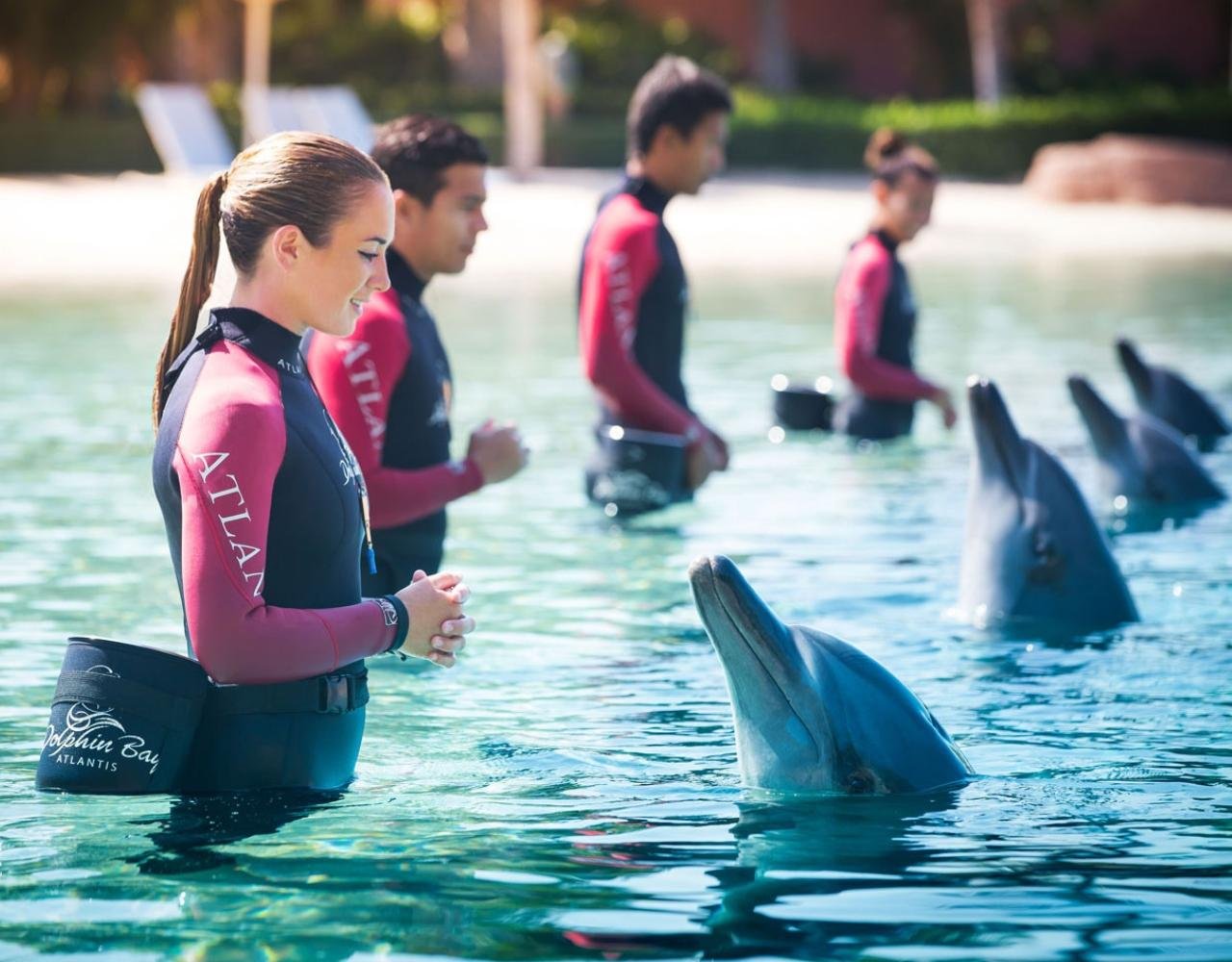 Dubai Aquaventure World Super Pass with Lost World Aquarium