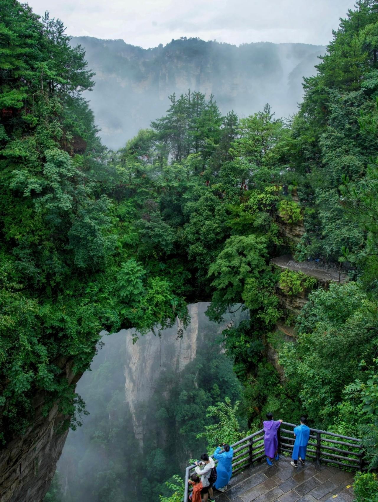 Zhangjiajie National Park Early-Start Hiking Tour