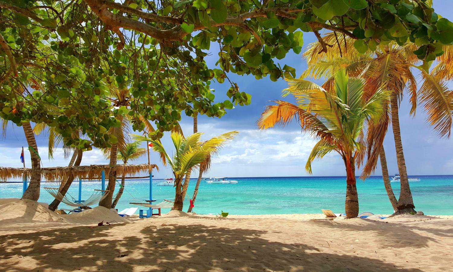 Isla Catalina Snorkeling & Beach Day