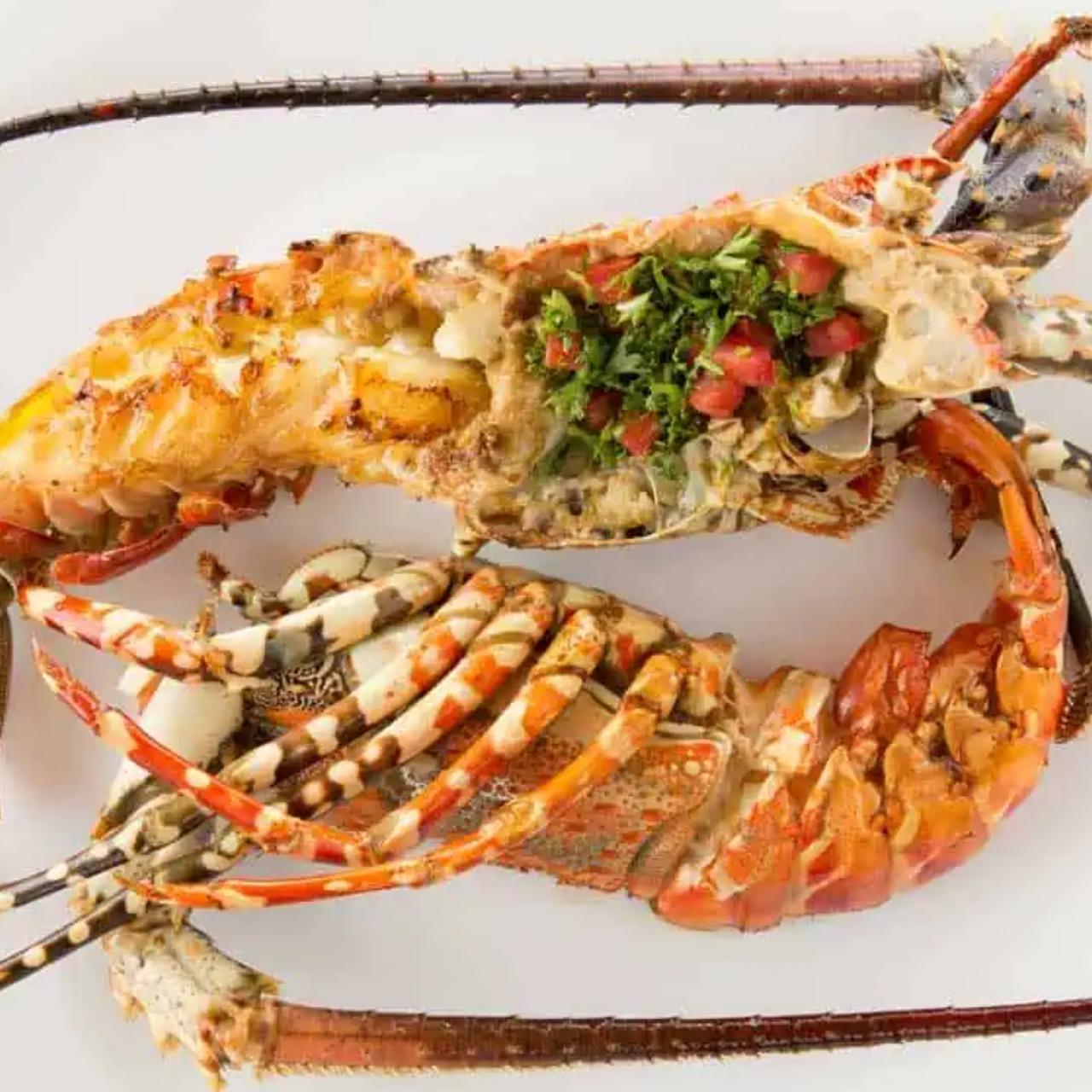 Zanzibar Jozani Forest & The Rock Restaurant Day Tour