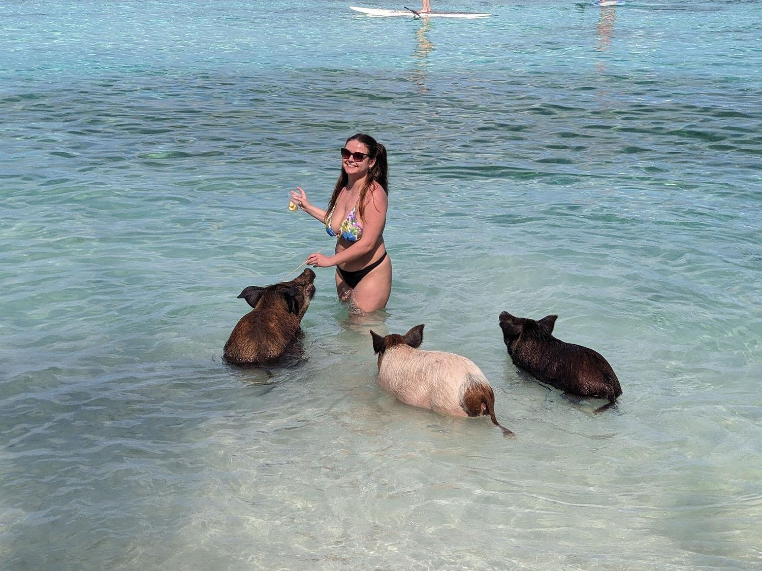 Nassau Catamaran Adventure: Swimming Pigs, Turtles & Snorkeling