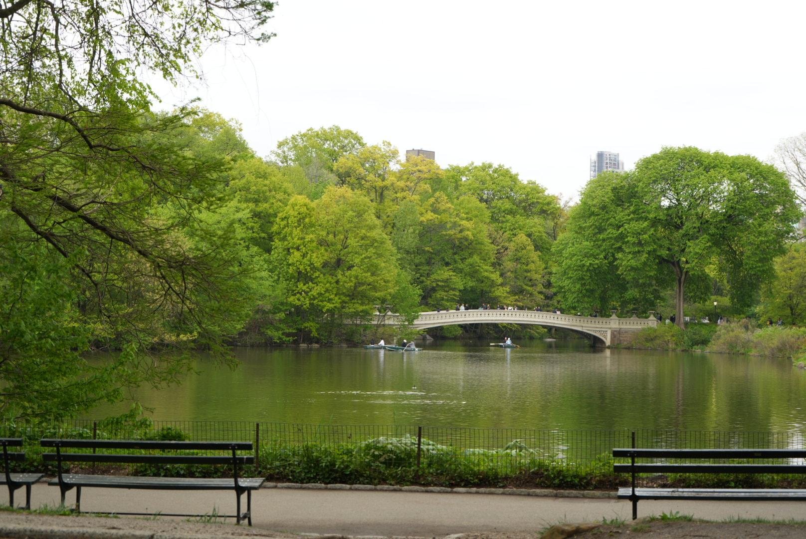 Central Park Exploration by Pedicab or Carriage