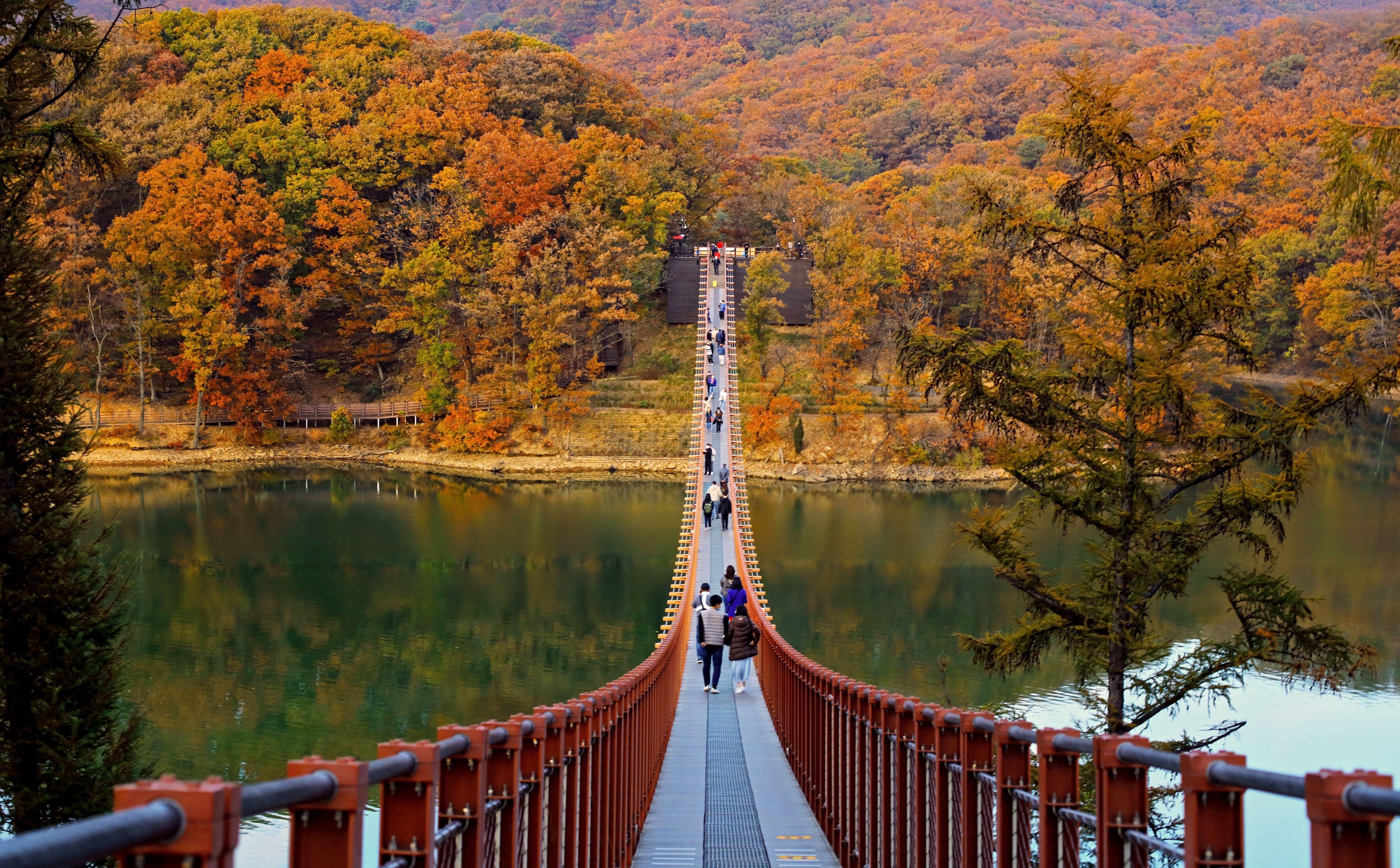 Seoul DMZ Tour: JSA Museum, Defector Talk & Scenic Add-Ons